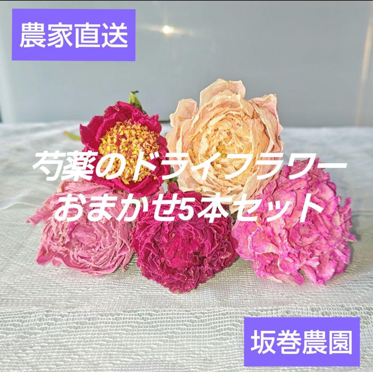 ドライフラワー】芍薬(シャクヤク) 5本セット お花 はな 切花