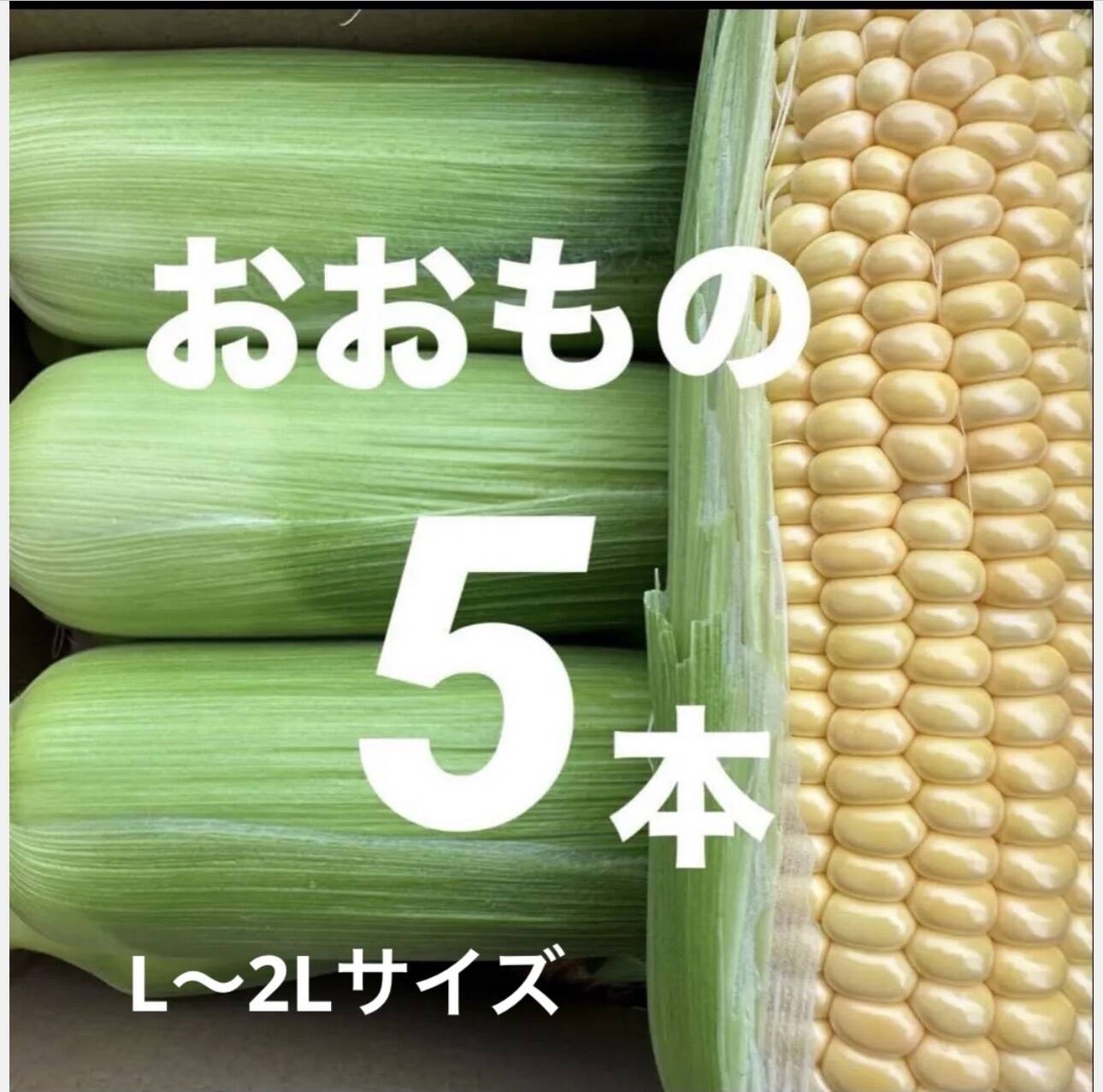 朝採り即日発送】高糖度コーン「おおもの」市場規格2Lサイズ(400g前後