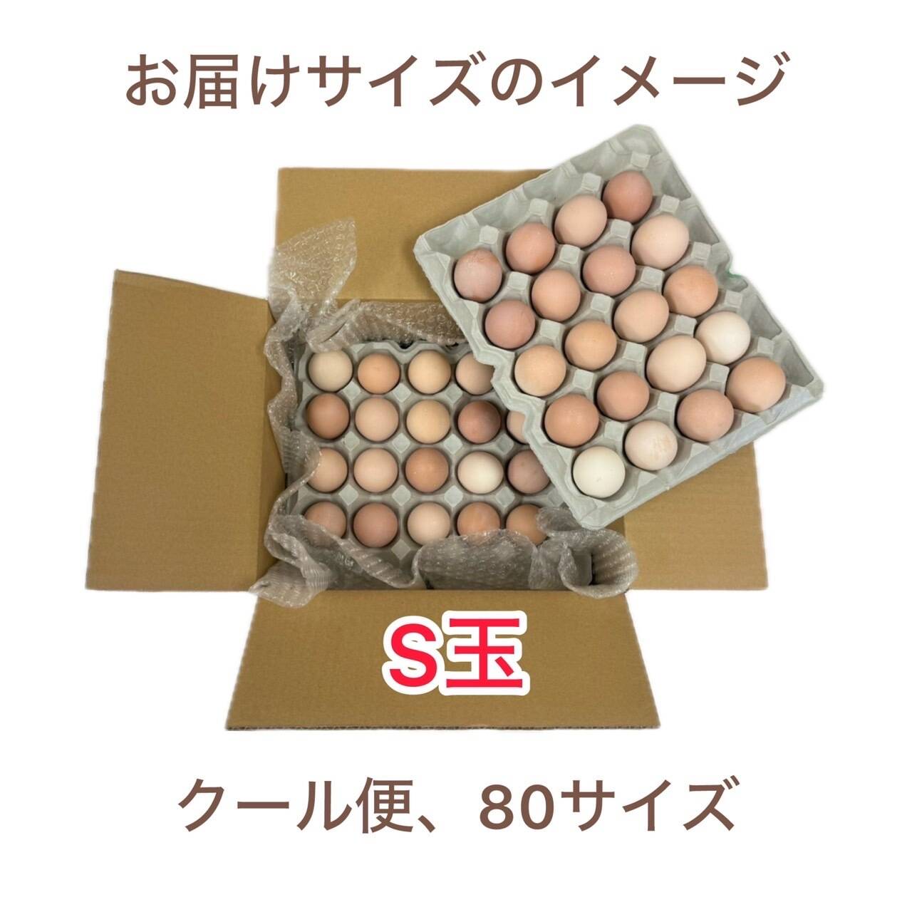 コスパ最強S玉🏆平飼い名古屋コーチン【王様のたまご】40個（36個+破卵