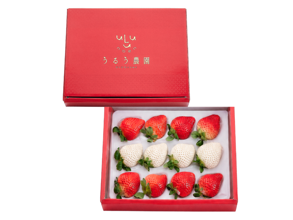 予約販売 2026年11月下旬～順次発送】紅白特選あまおう 400g ギフト