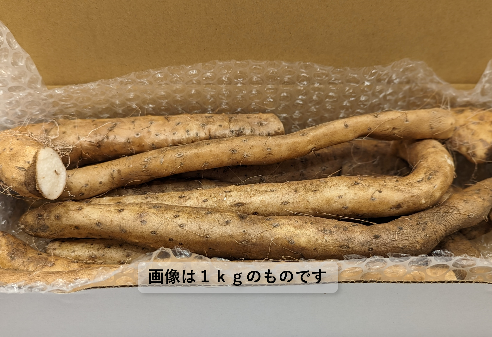 自然栽培 幻の大豆『八天狗』1kg 熊本県産 - 野菜