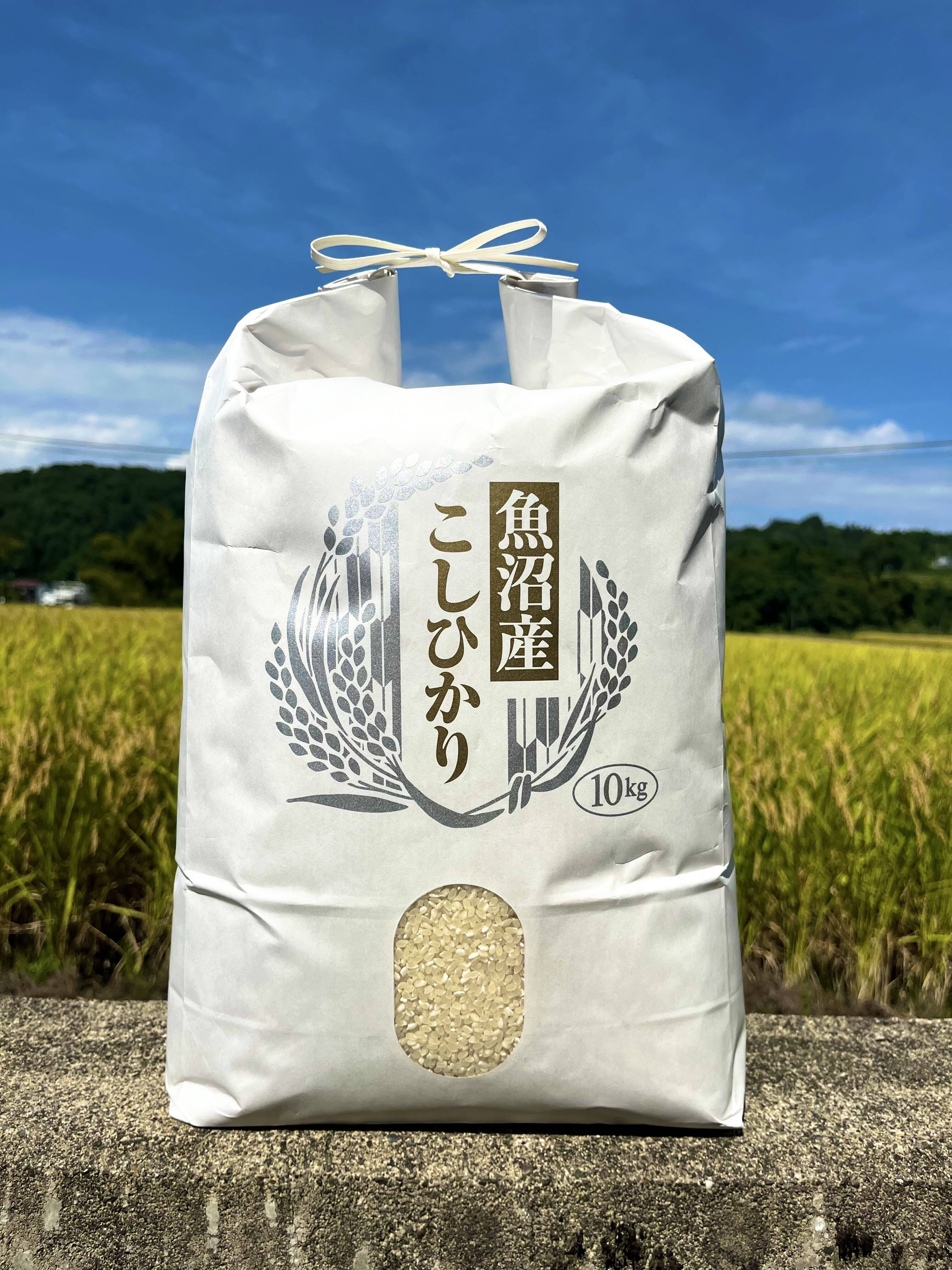 コシヒカリお米10×2=20kg+ホムデン500gオマケすぐ発送 コシヒカリお米10×2=20kg+ホムデン500gオマケすぐ発送