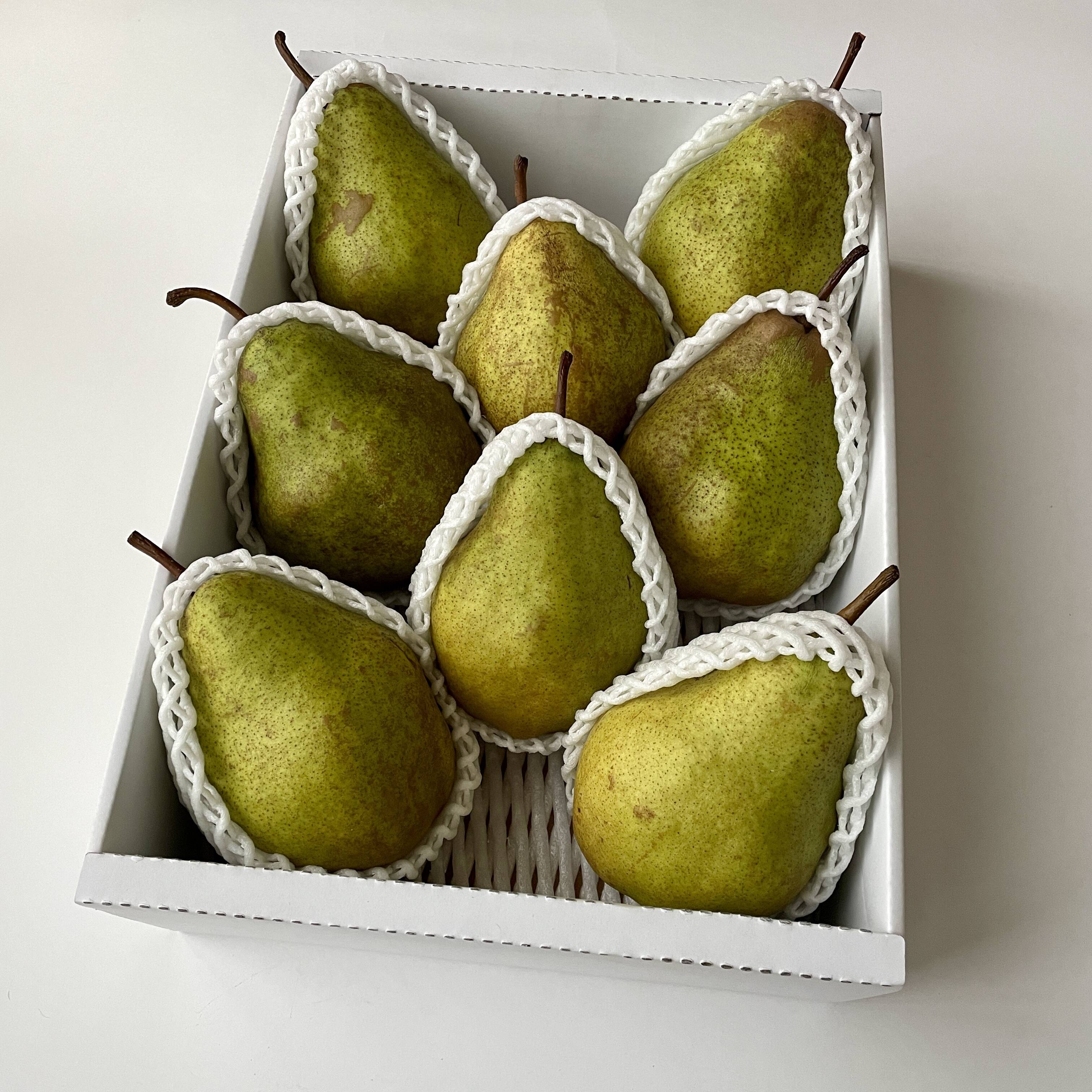 37efe42d5d9c9db1f99d87fce0d046