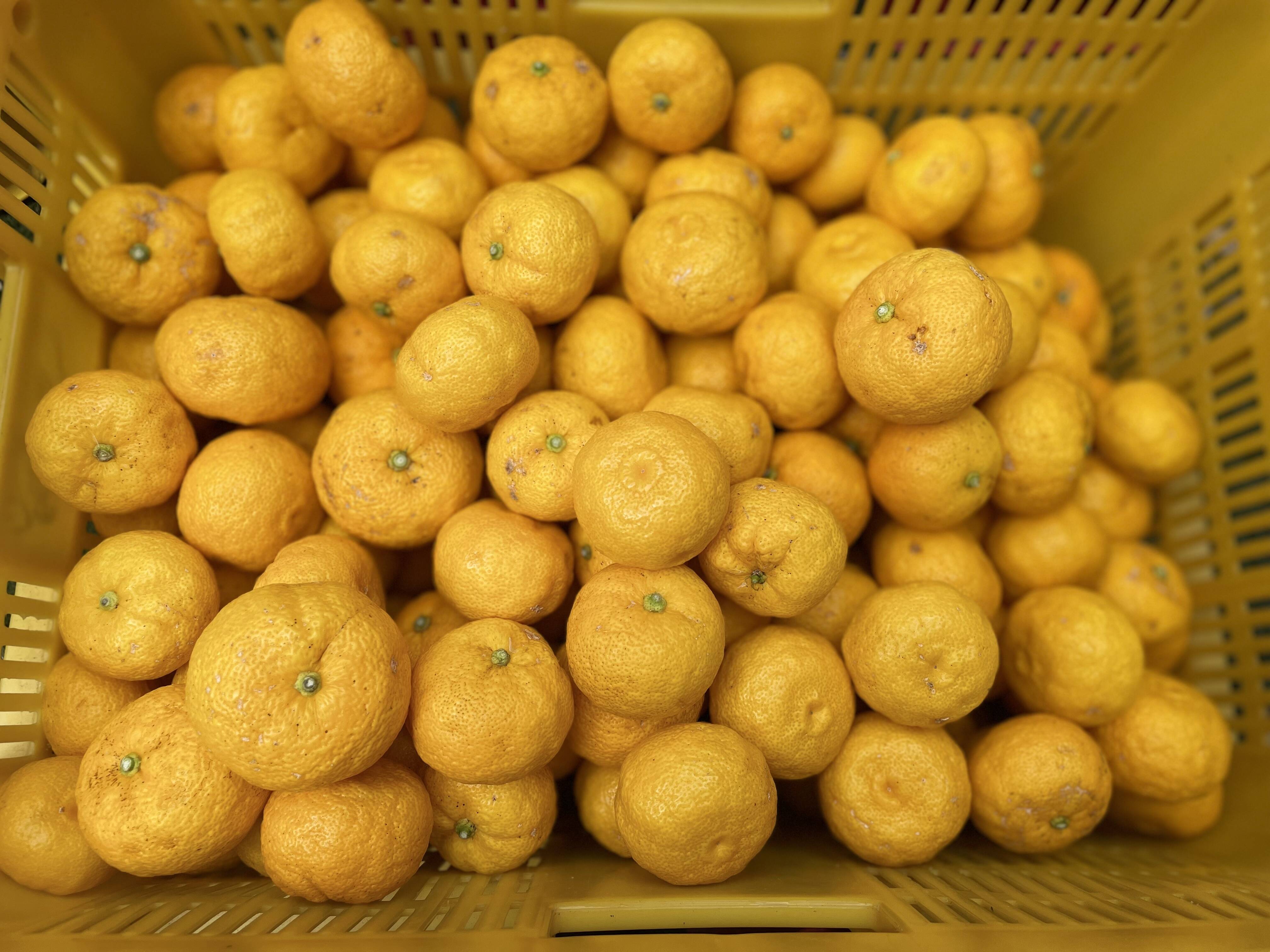 37fb696ffad4be204521f8e4524ba8