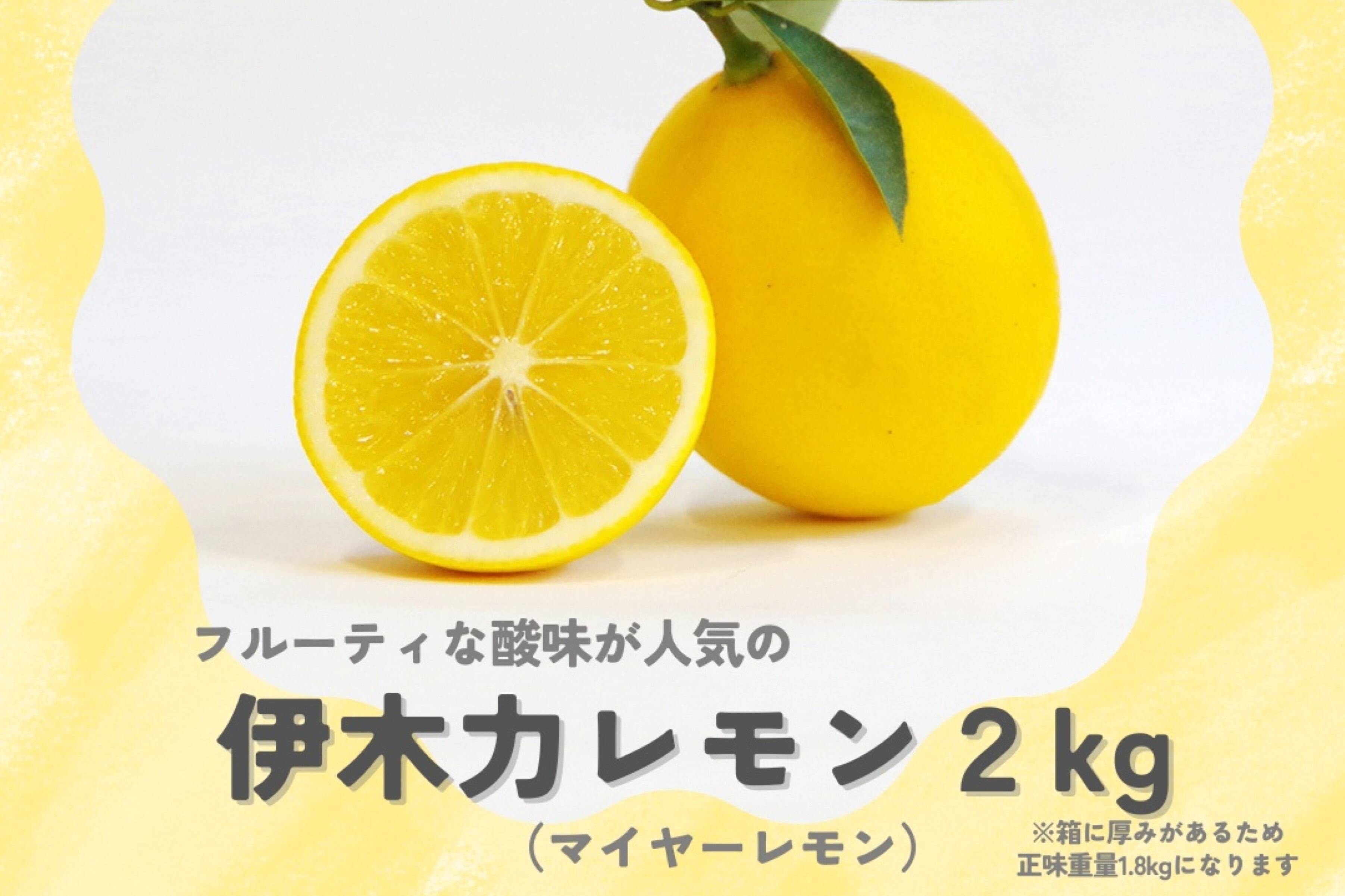 長崎県産】マイヤーレモン2kg：長崎県産のみかん・柑橘類｜食べチョク