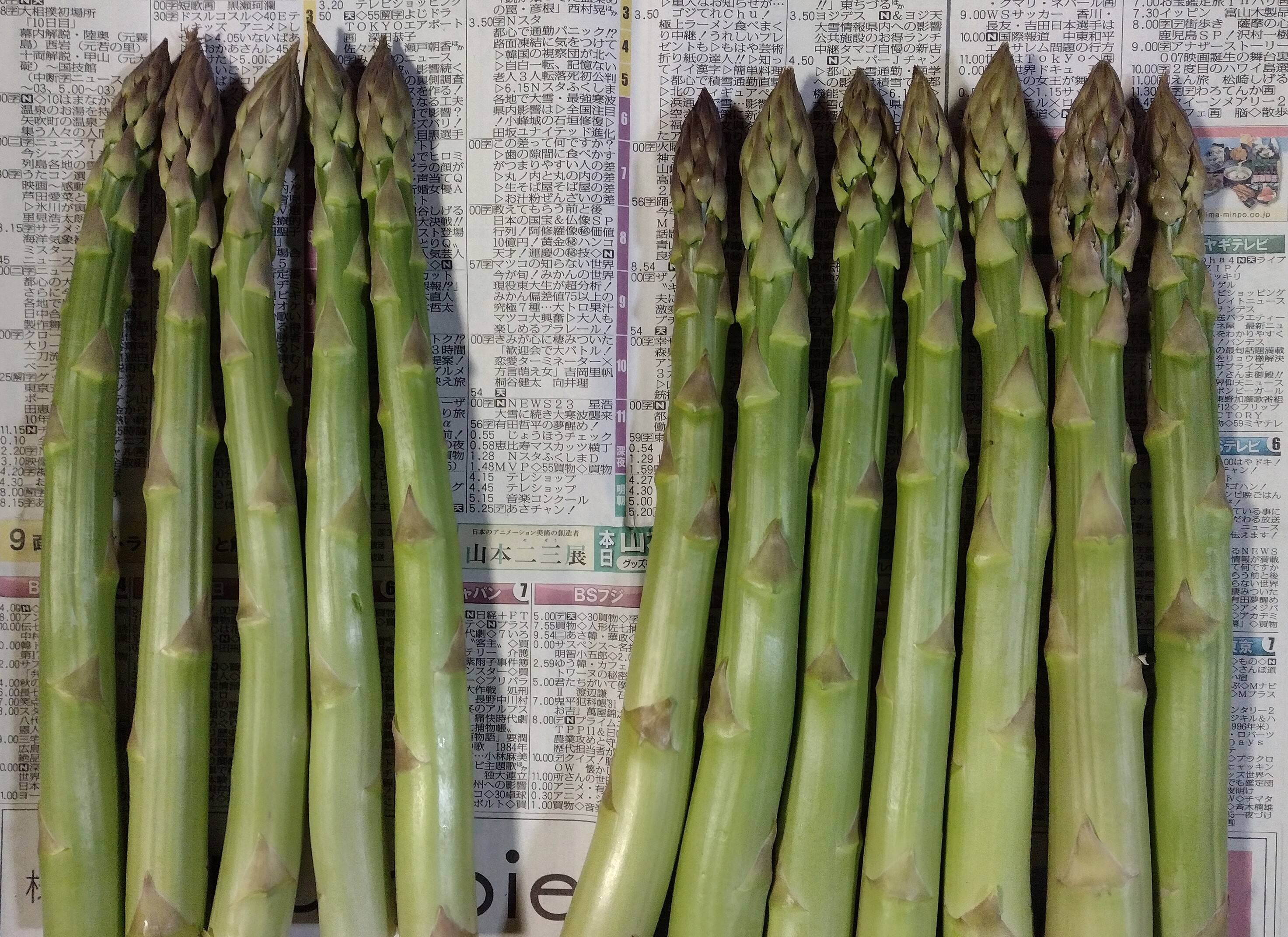 282円 【94%OFF!】 沖縄県産野菜 からし菜 １ｋｇ 発送 年中