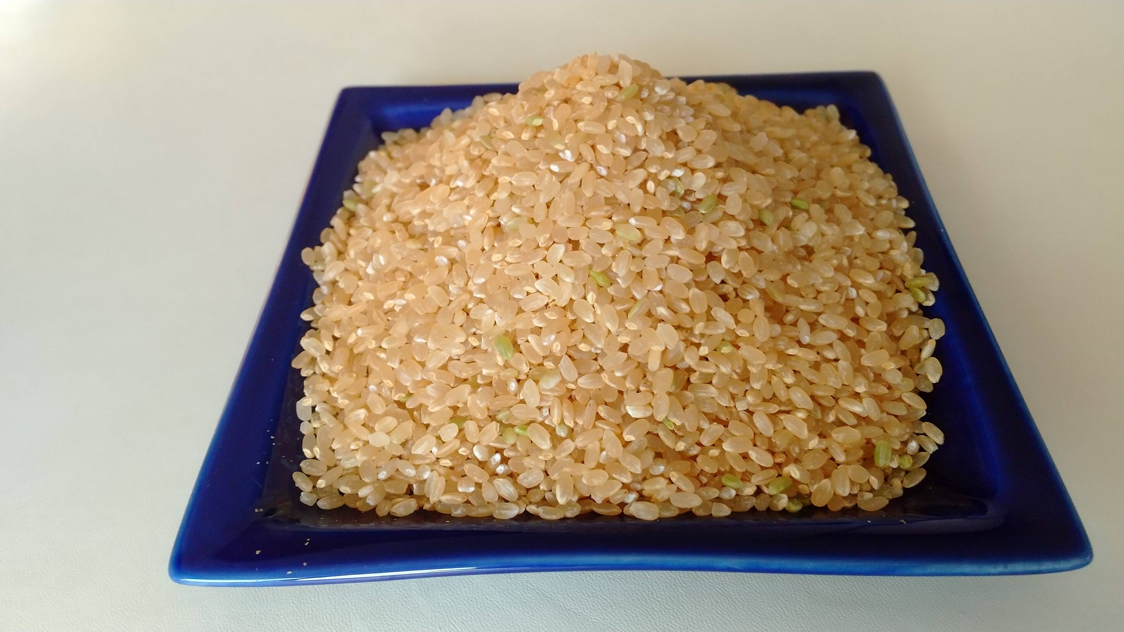 令和7年新米】 福井県産 あきさかり 玄米 10Kg：福井県産のお米｜食べ