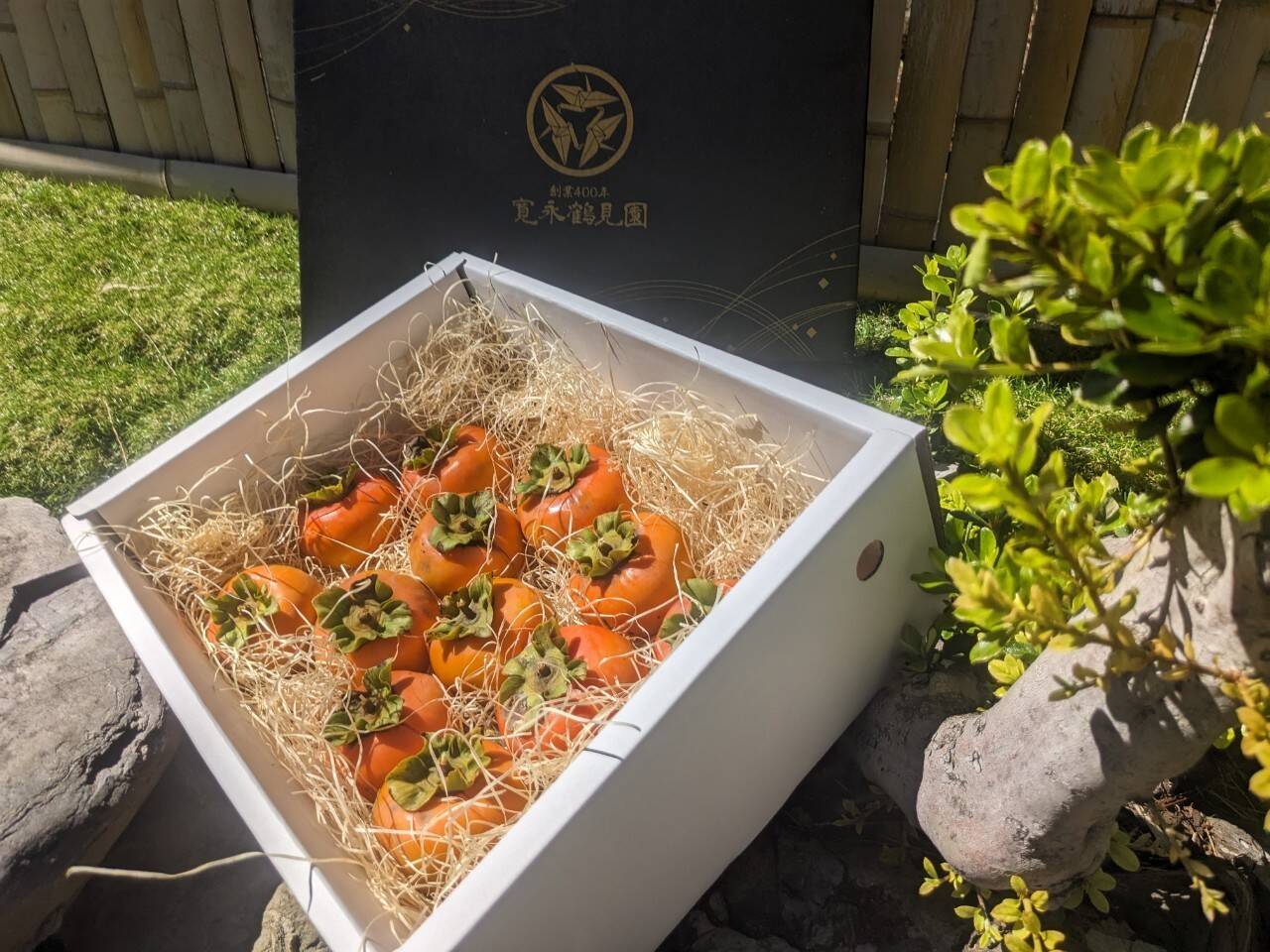 期間限定】 ギフトセット 商品一覧 | 【公式通販】柿の専門 ＜数週間の期間