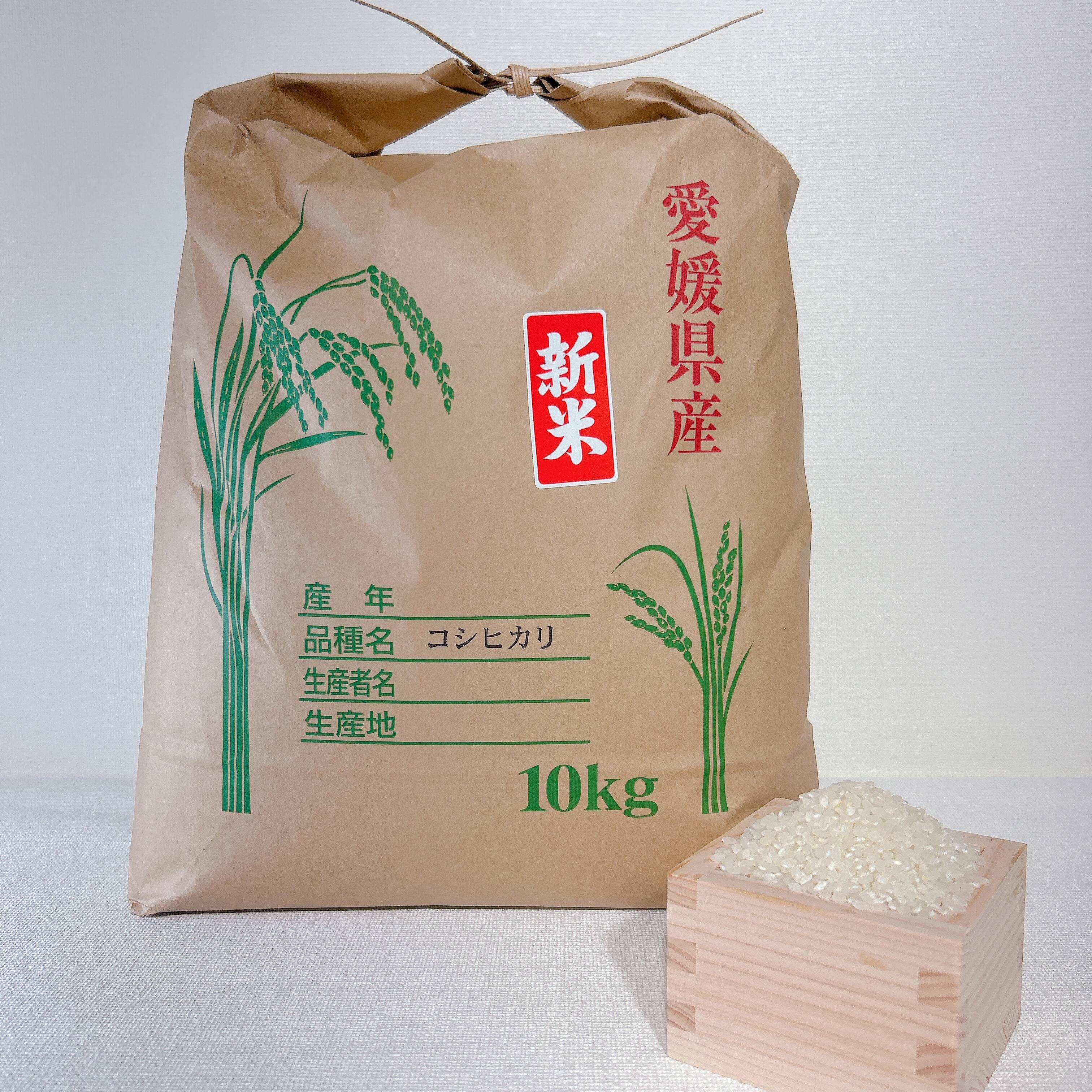 【令和６年度産】新米 コシヒカリ １０㎏ ＊特別栽培米＊