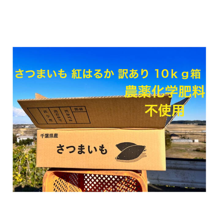 買い物をする 【お客様専用】紅はるか 20キロ 千葉県産 | www