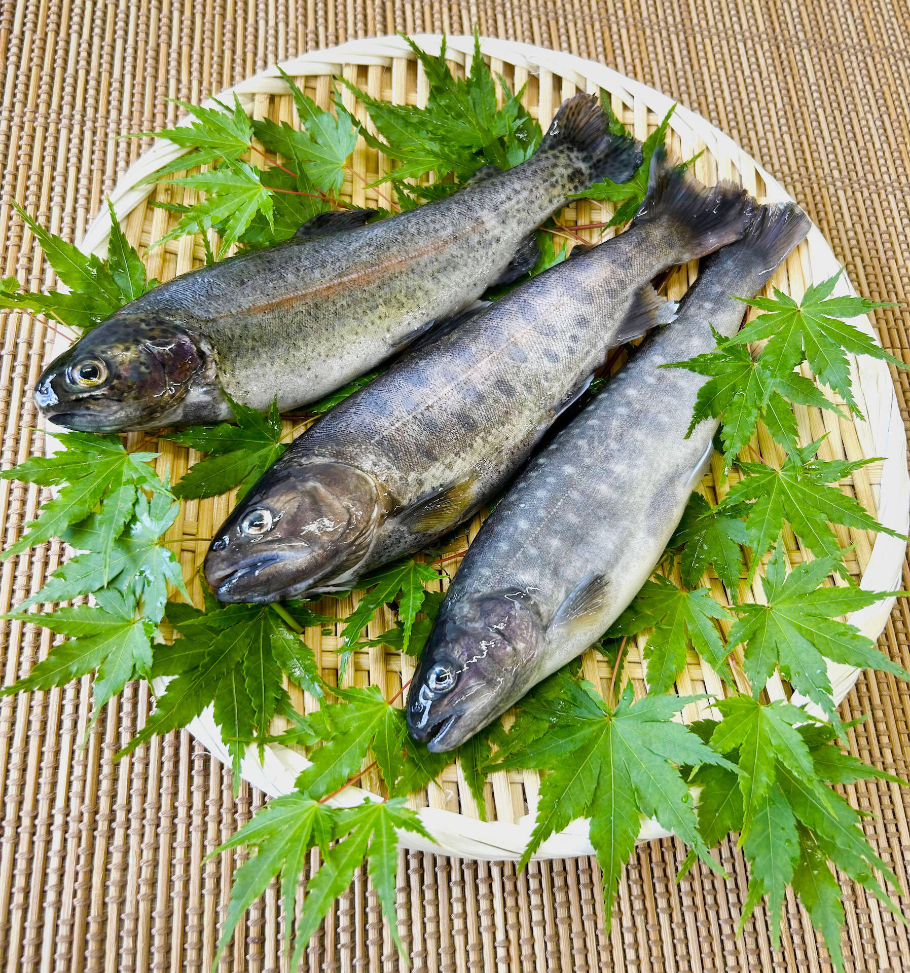 お料理やキャンプに！３種の川魚食べ比べセット：山梨県産のヤマメ｜食べチョク｜産地直送(産直)お取り寄せ通販 - 農家・漁師から旬の食材を直送