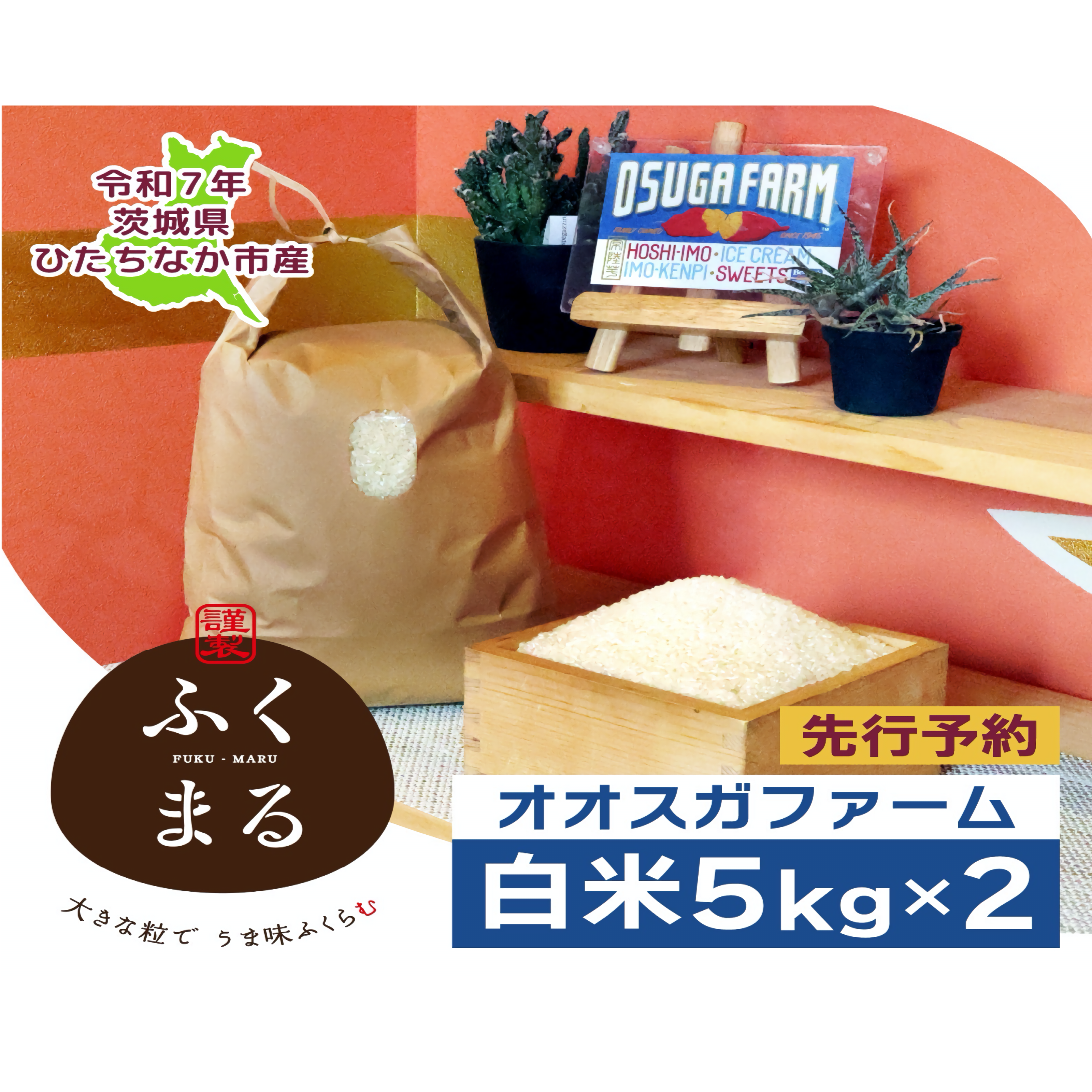 茨城令和2年産ふくまる玄米20㎏ 楽天市場】【ふるさと納税】☆茨城の大粒新人 プレミアム