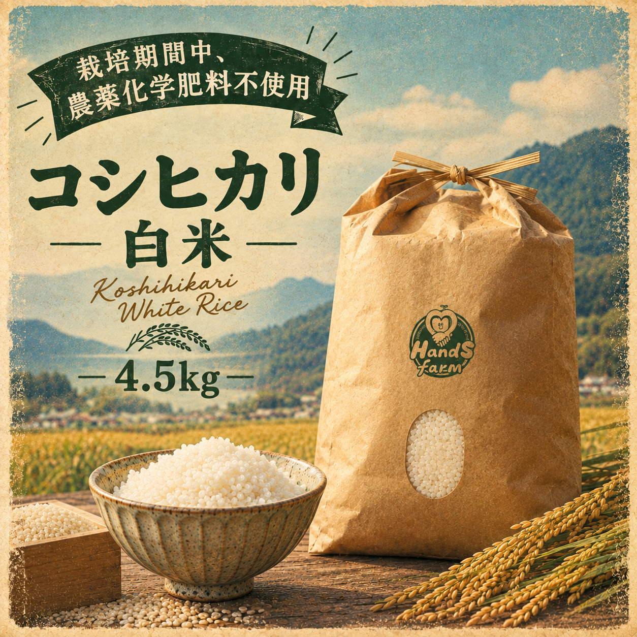 栽培期間中農薬不使用!! 京丹後産『コシヒカリ』白米4.5kg：京都府産の