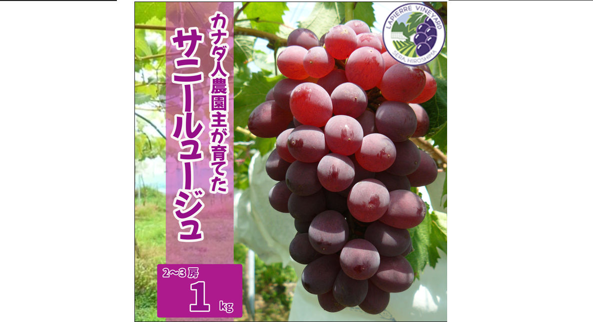 カナダ人農園主の真心を込めた】サニールージュ約1kg（ご家庭用