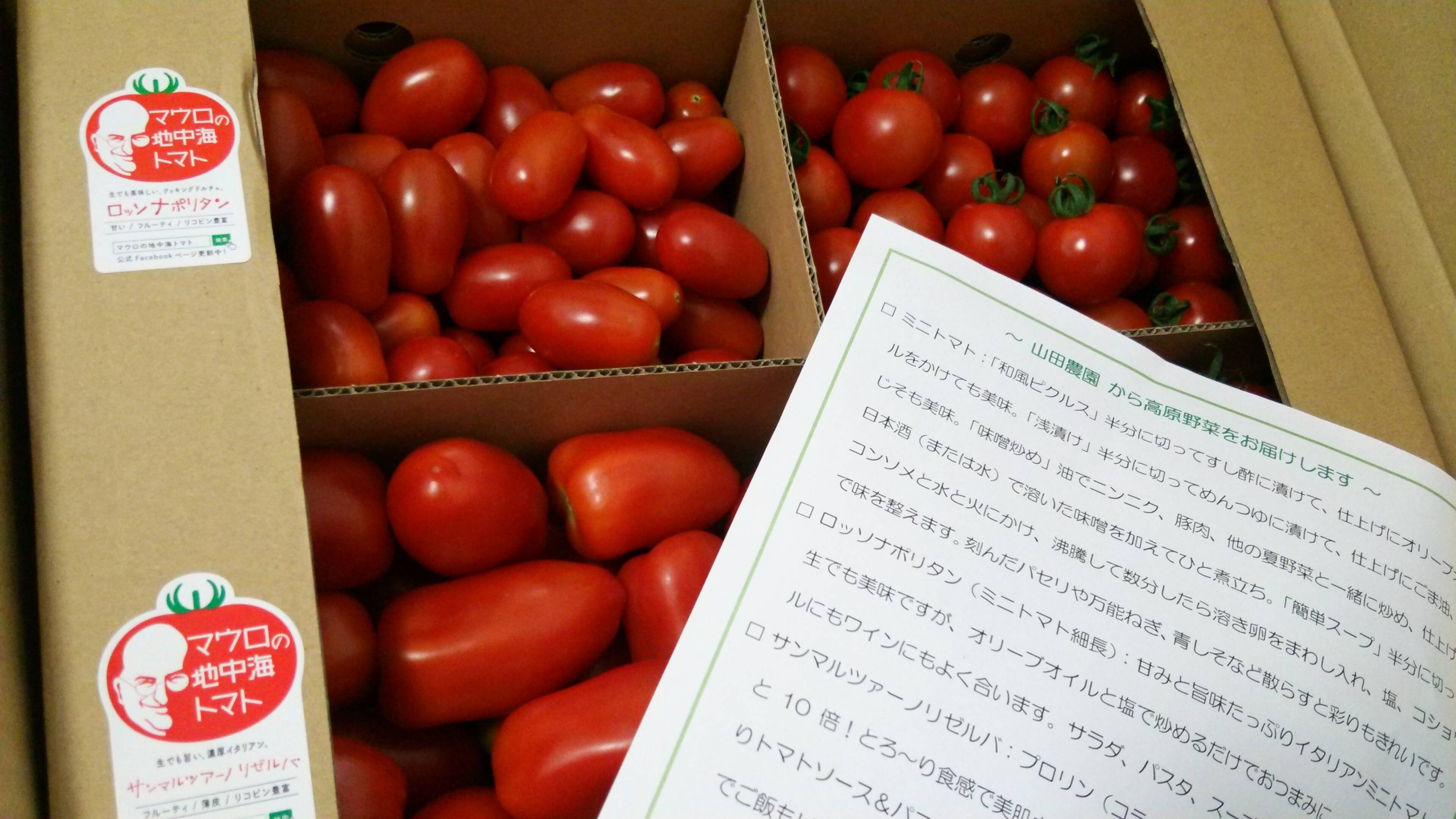 濃くて甘ーい ミニトマト 2種詰め合わせ3ｋｇ ミニトマト ロッソナポリタン 岡山県産 食べチョク 農家 漁師の産直ネット通販 旬の食材を生産者直送