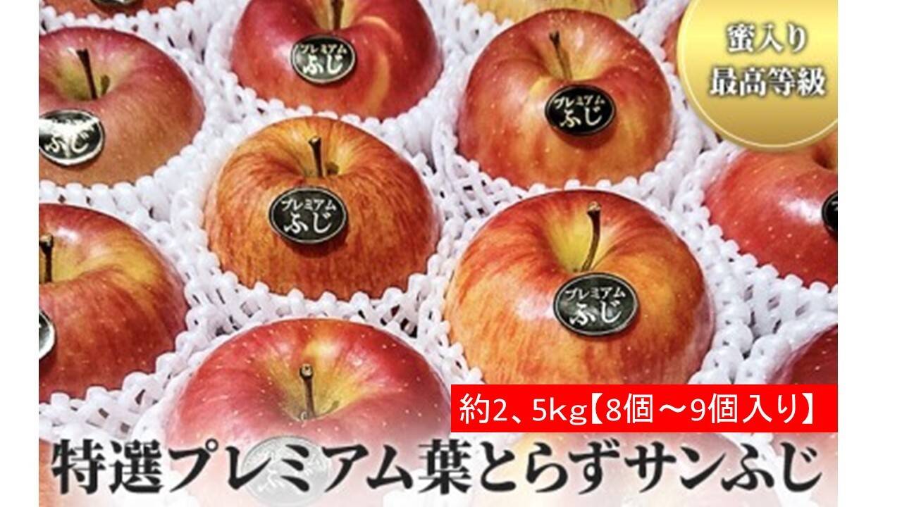 98%OFF!】 青森県産りんご葉とらずさんフジ家庭用3キロ kead.al