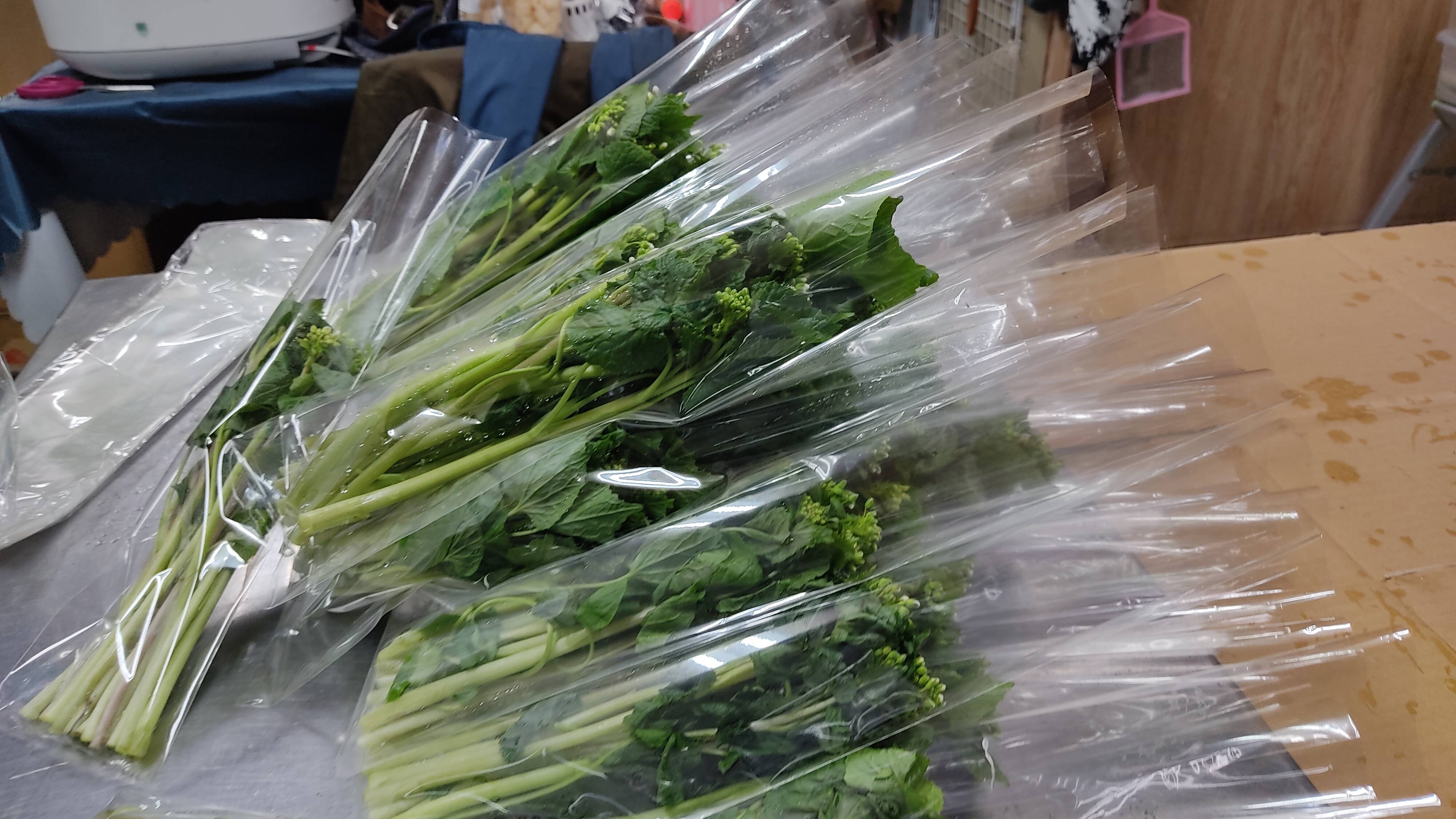 予約受付中！ 春の山菜・花わさび！300g【期間限定 4月下旬～5月