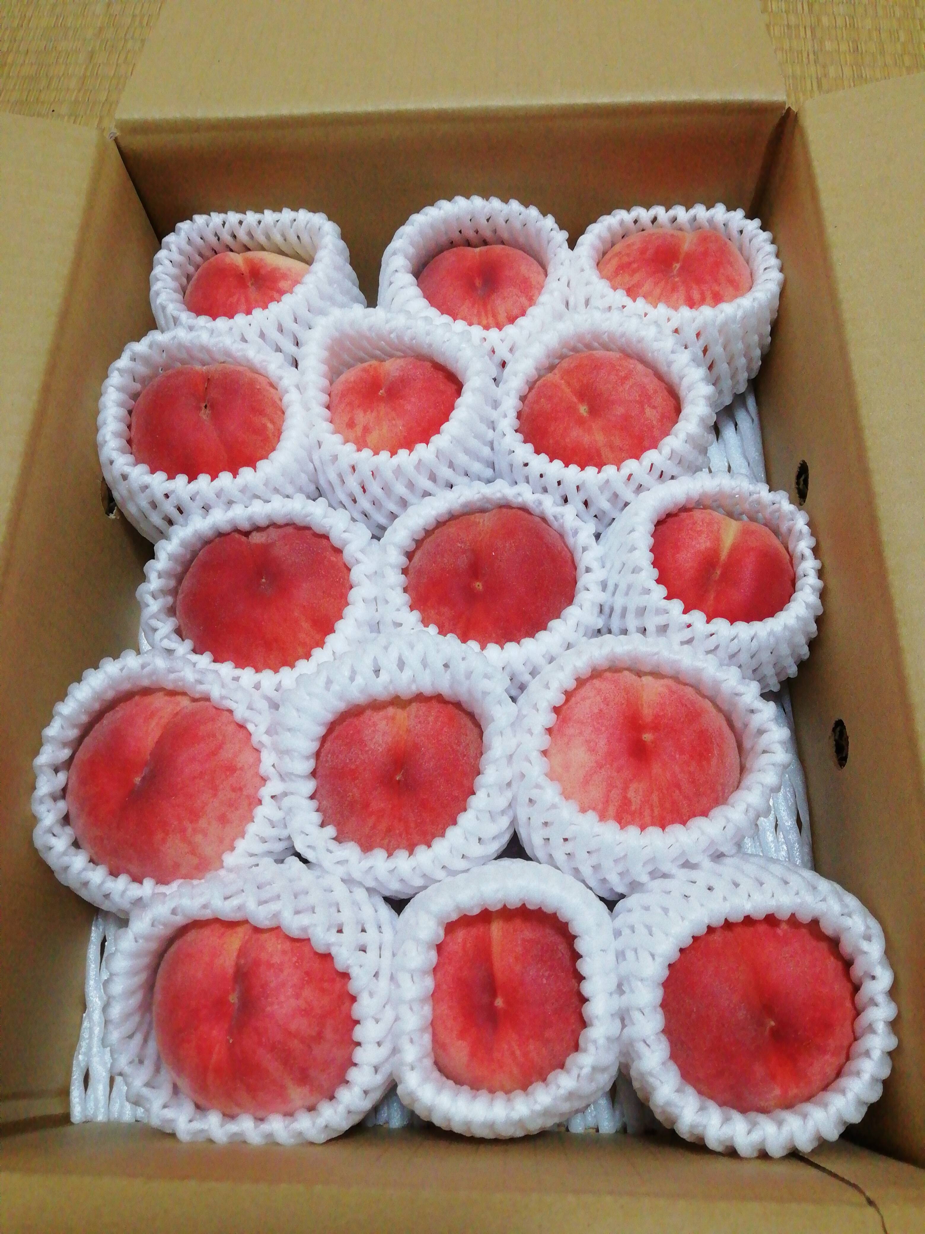 大人気の 山形県産 減農薬栽培 樹成り完熟桃 白鳳 2キロ箱 ご家庭用