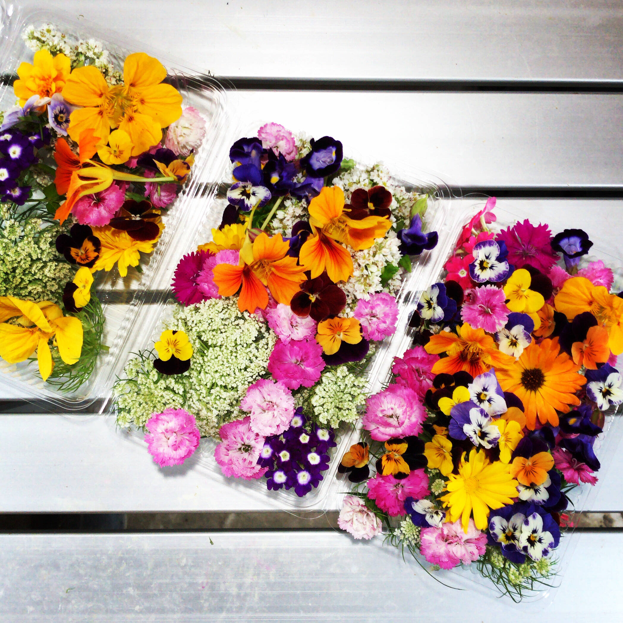 食べてお花！【エディブルフラワーmix】 お花のサラダ：広島県産の