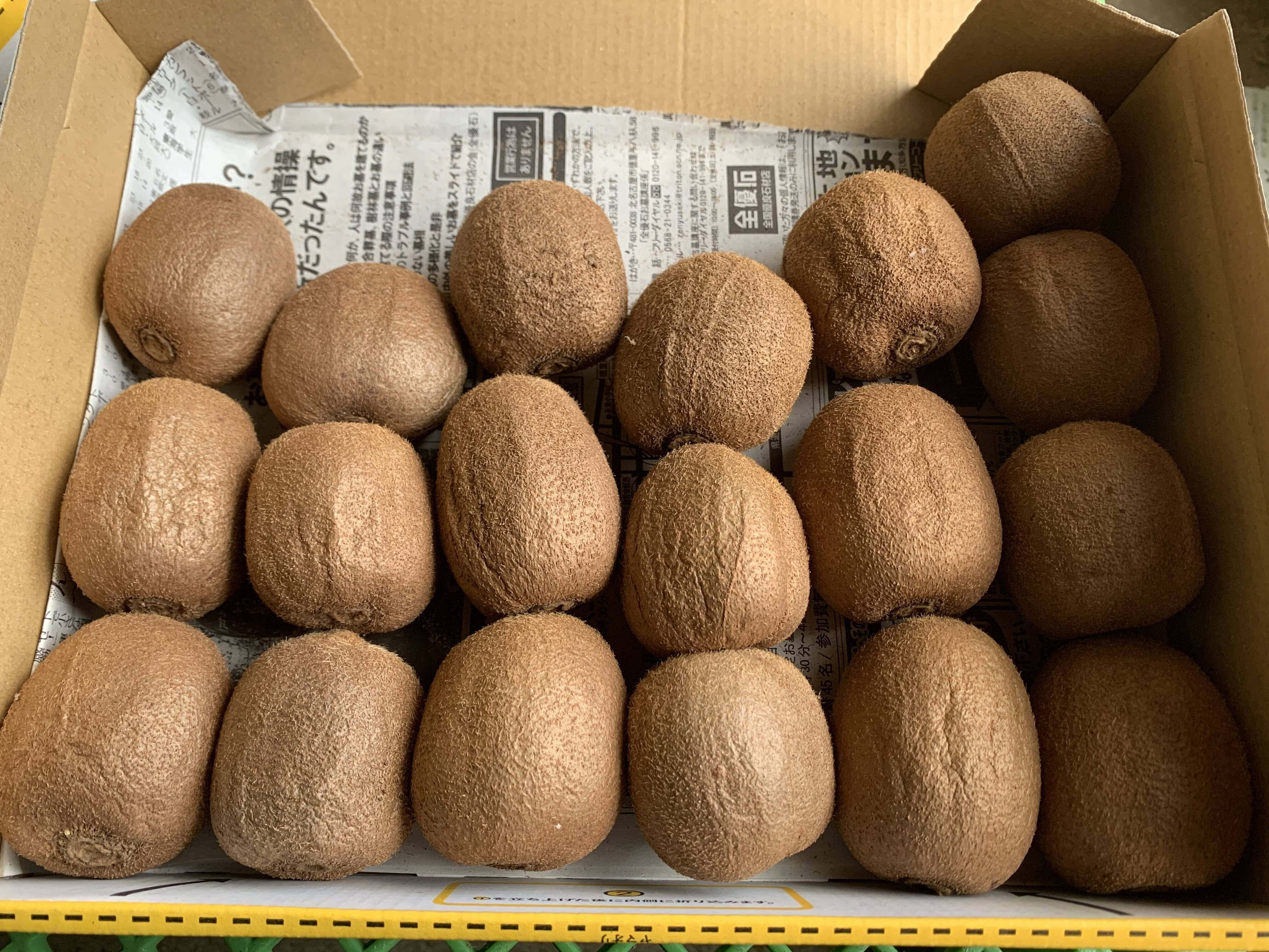 寒冷地の方専用 売り切れゴメン 自然受粉ワイルドキウイ 小粒 1kg 約16 32個 愛知県産 食べチョク 農家 漁師の産直ネット通販 旬の食材を生産者直送