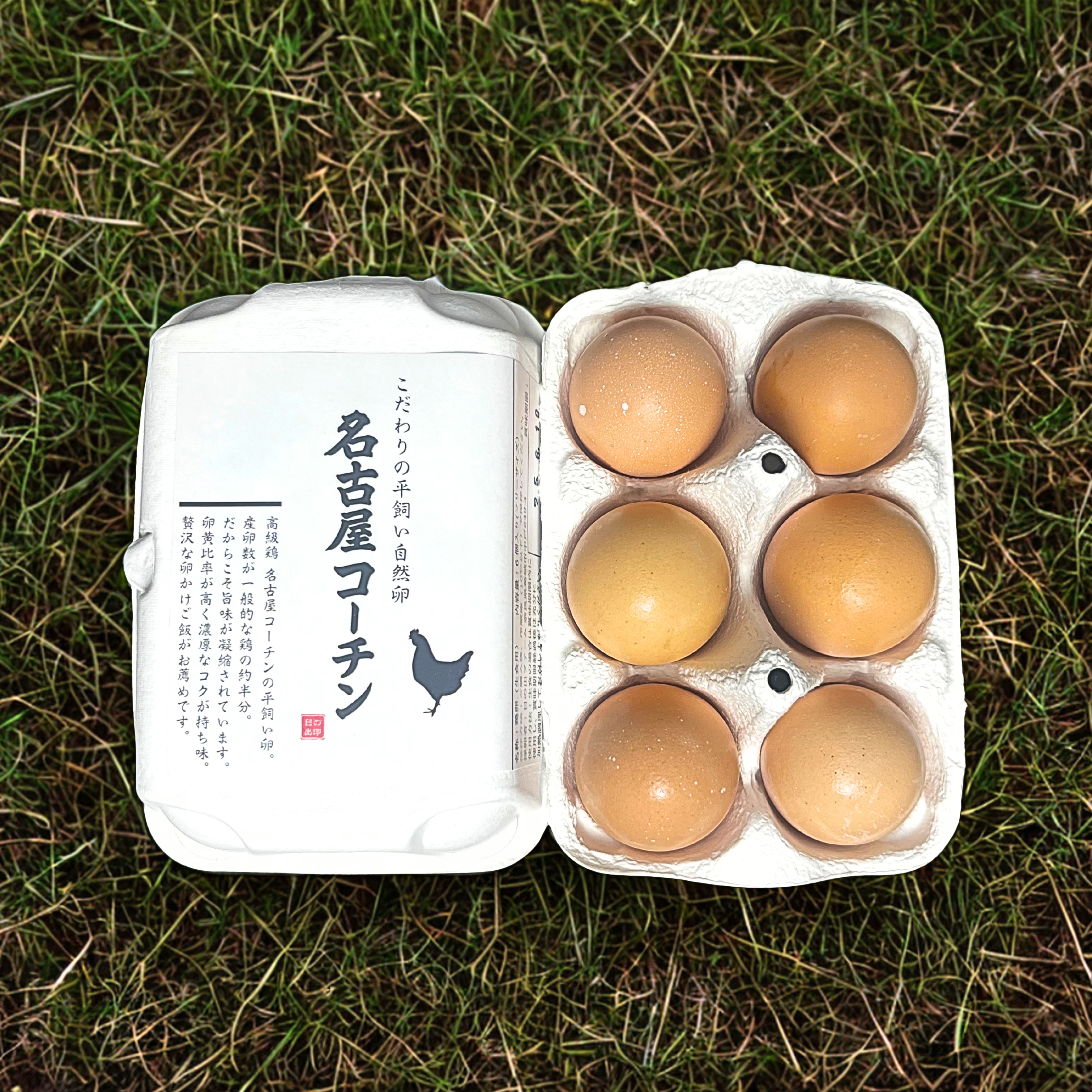 39651a2582d54198f903ecd8e530bf