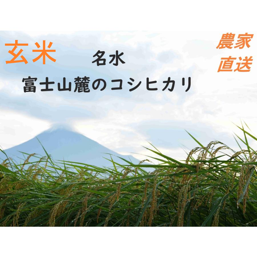 令和6年産 炊くとふっくら！霊峰富士山の湧き水が作った絶品
