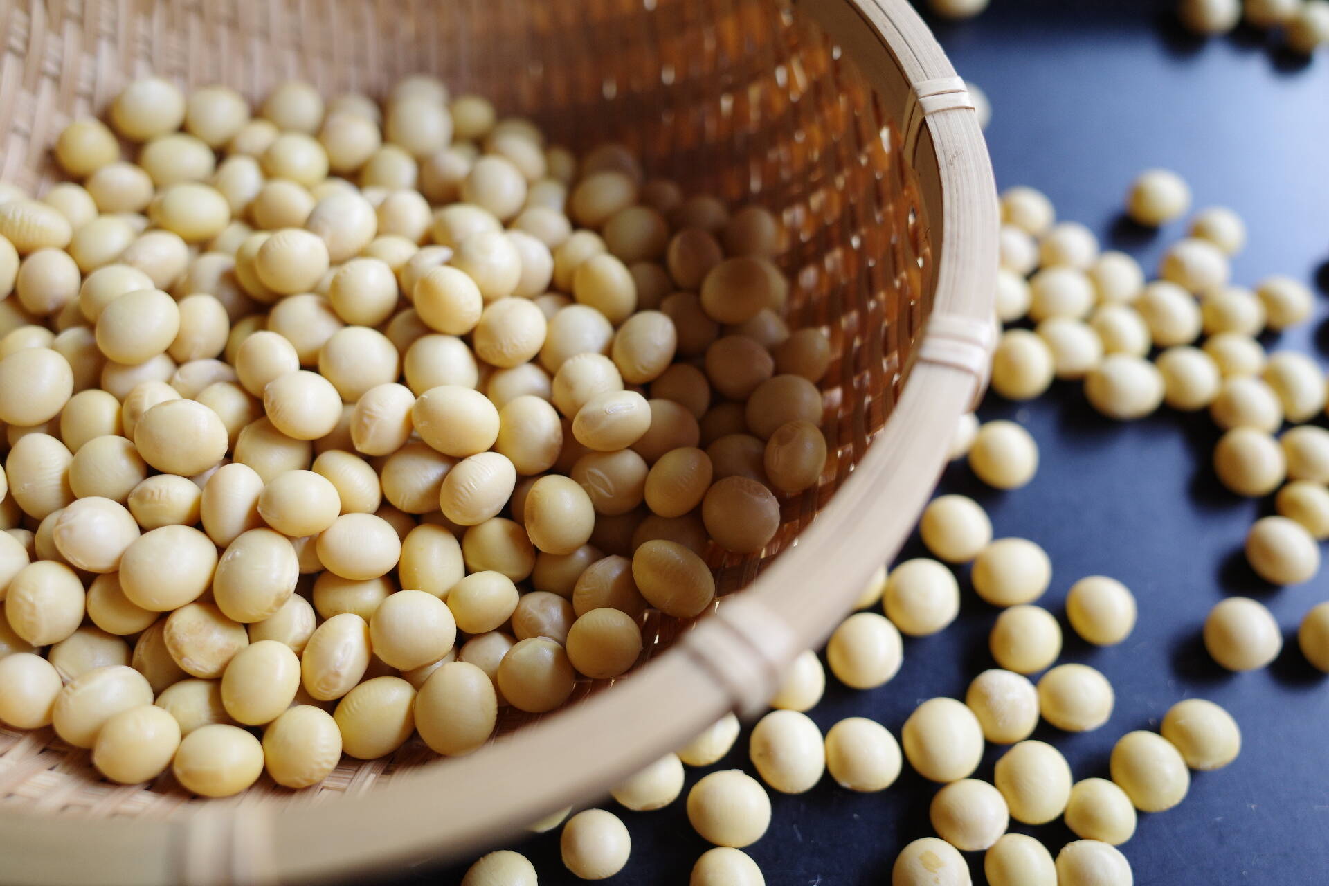 自然栽培】乾燥大豆「里のほほえみ」9.5kg 〜令和7年・山形県鶴岡産