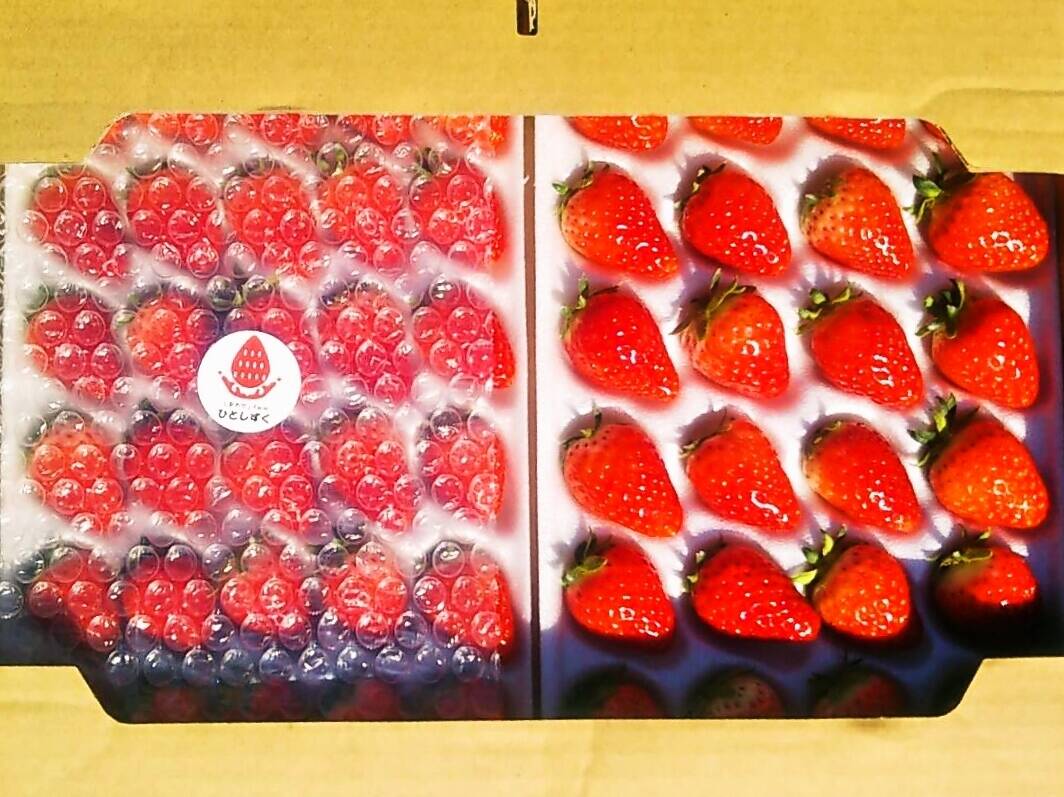 いちご Mサイズ以上 青森県産 しあわせのひとしずく（夏のしずく  