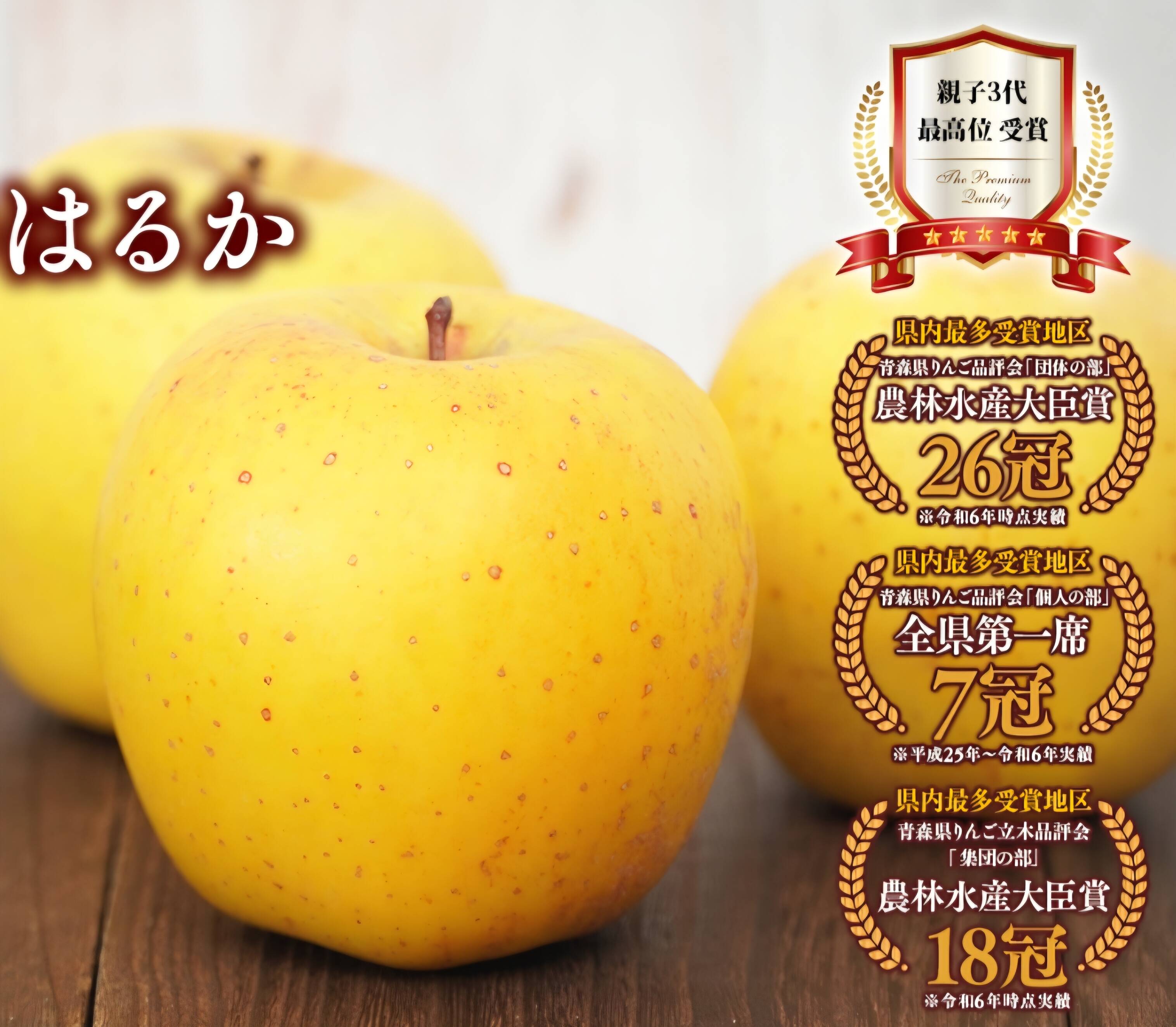 りんご 令和8年産予約分です！ 「りんごの甘さじゃない♪」幻のりんご りんご