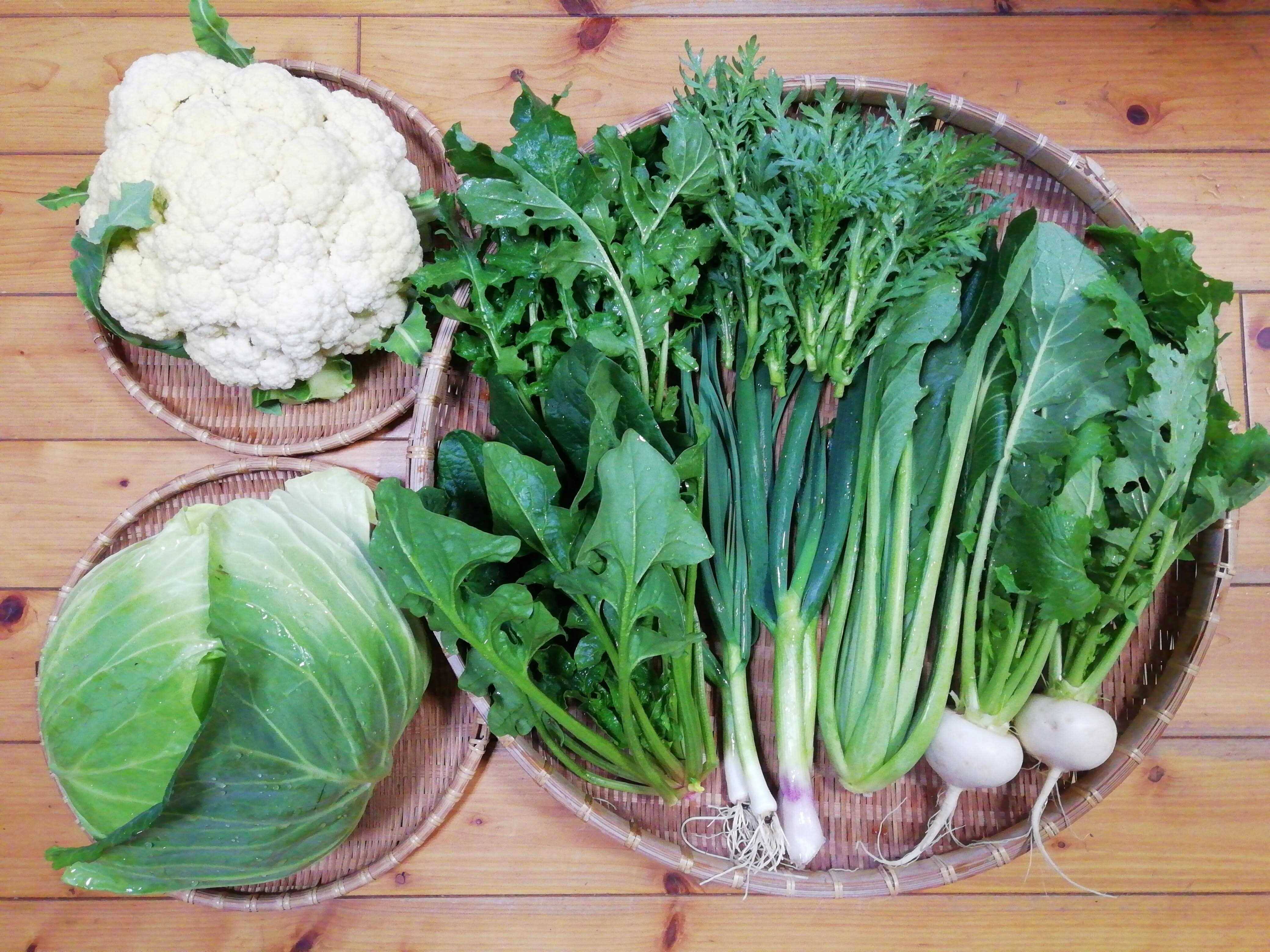 農薬化学肥料不使用】おまかせ野菜セット【８種類以上の野菜】【金曜日