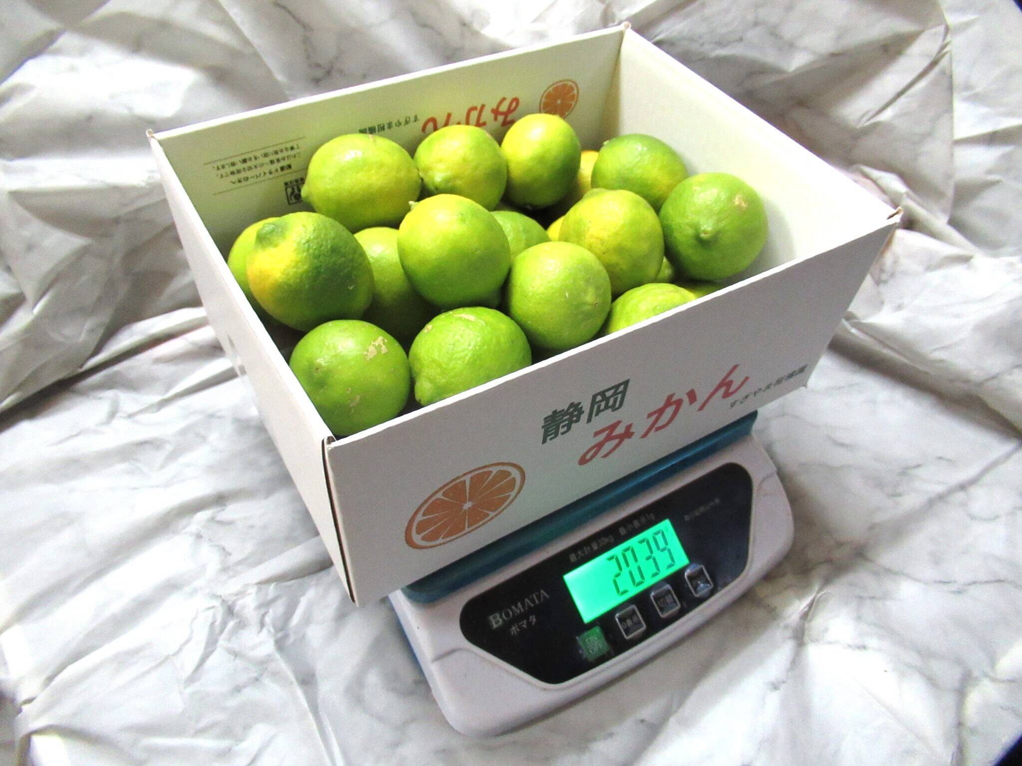 県産ライム２キロ5400円 国産ライム 2kg｜農薬8割減・防腐剤・ワックス不使用｜静岡県産 産地