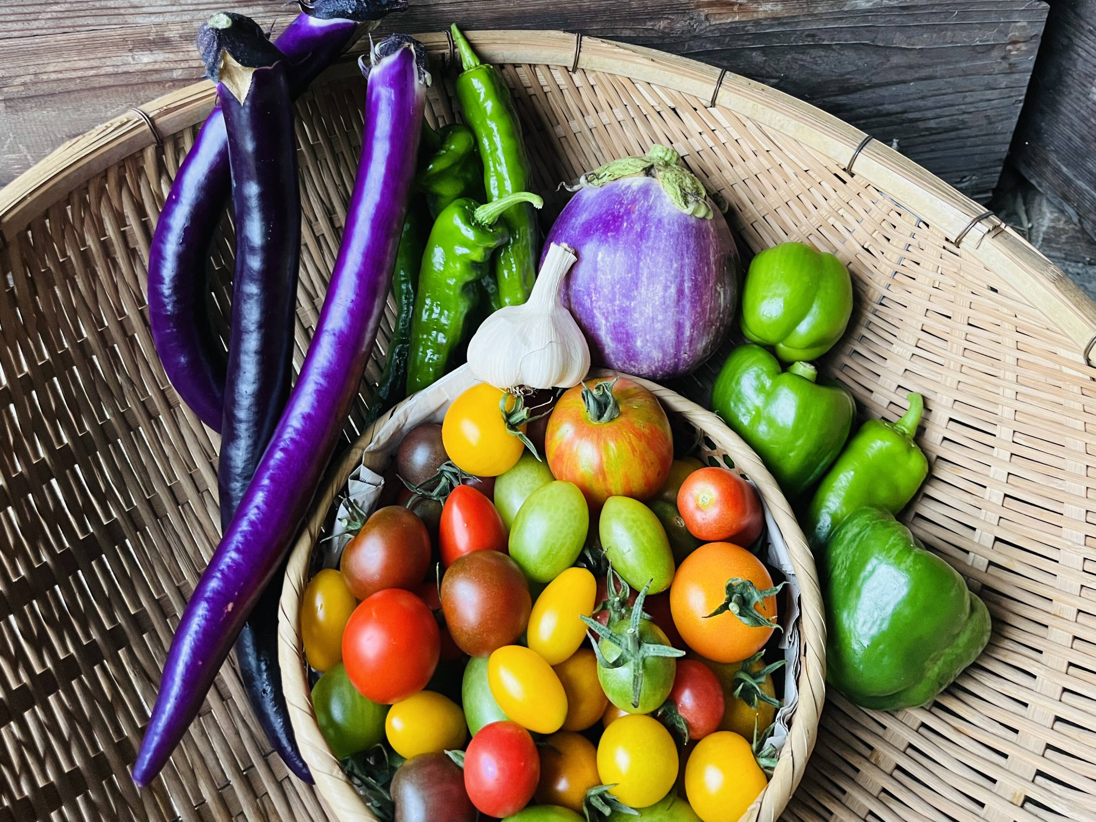 那須高原旬の野菜Mセット 7～8品種・高原の季節をお届けします！：栃木