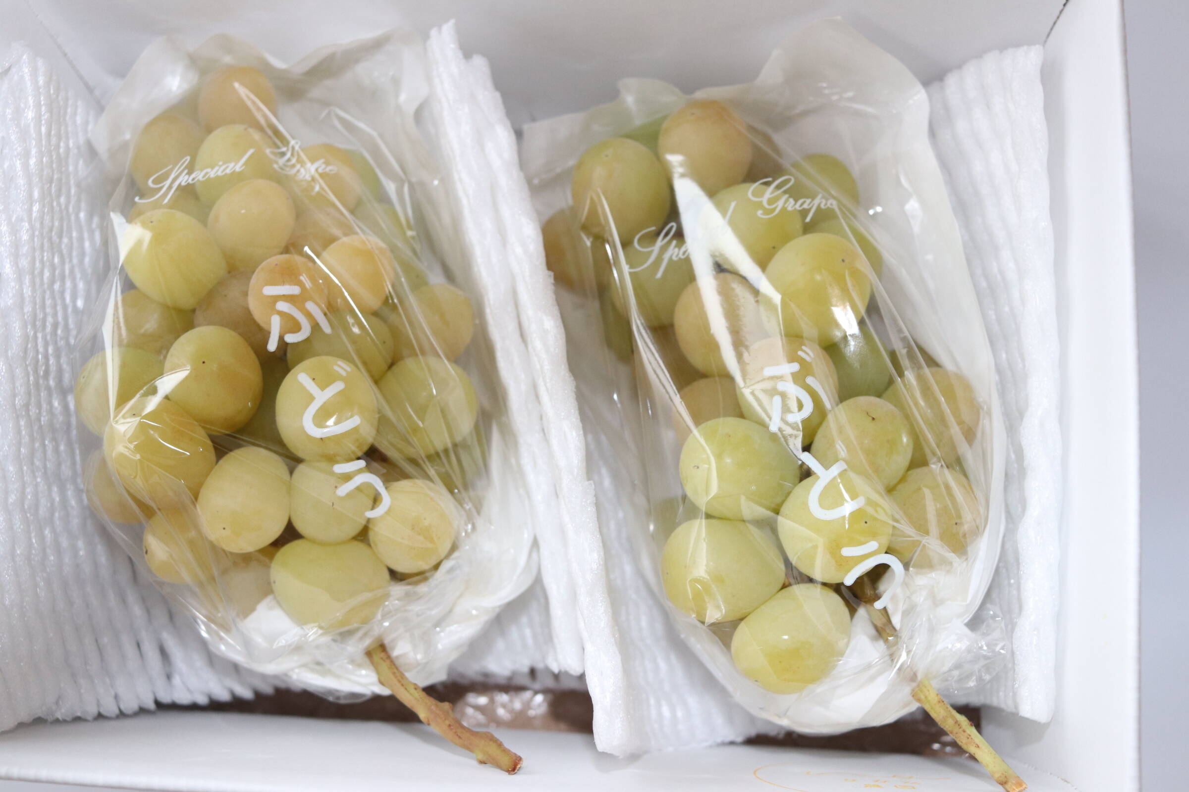 3a36ba608c48ce001c19dd03e31de6