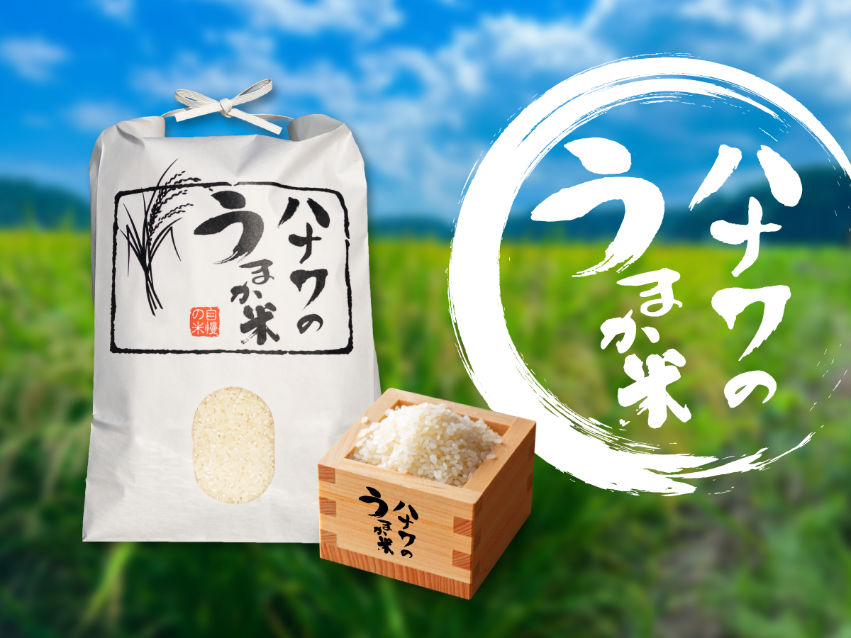 食品お米　令和元年　愛媛県産松山三井　玄米　20㎏