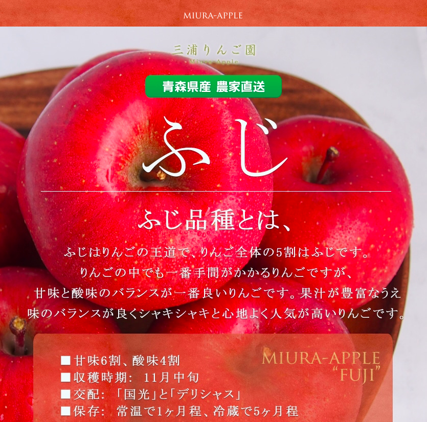 青森県産りんごミックス5キロ - 果物