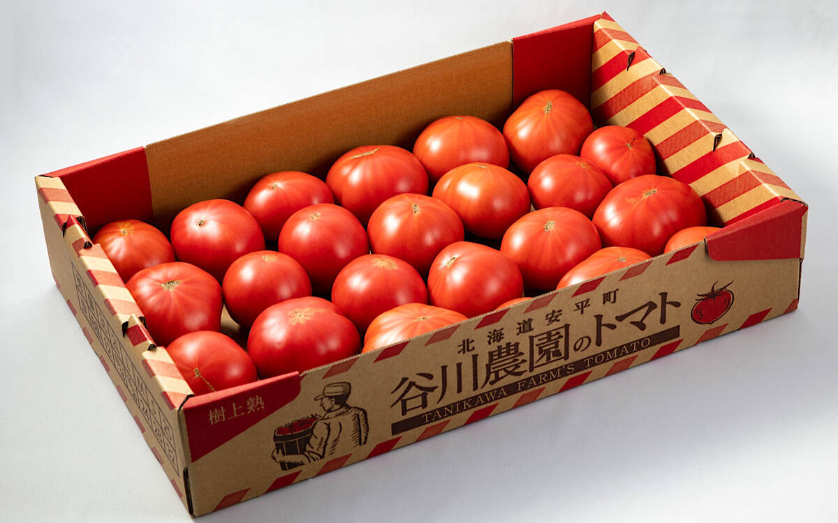 北海道 美瑛 トマト 送料無料 生食用 とまと 桃太郎 トマト 4kg 4キロ Mサイズ 約24玉前後 北海道 びえい とまと 夏トマト  フルーツ 夏 トマト 野菜 通販