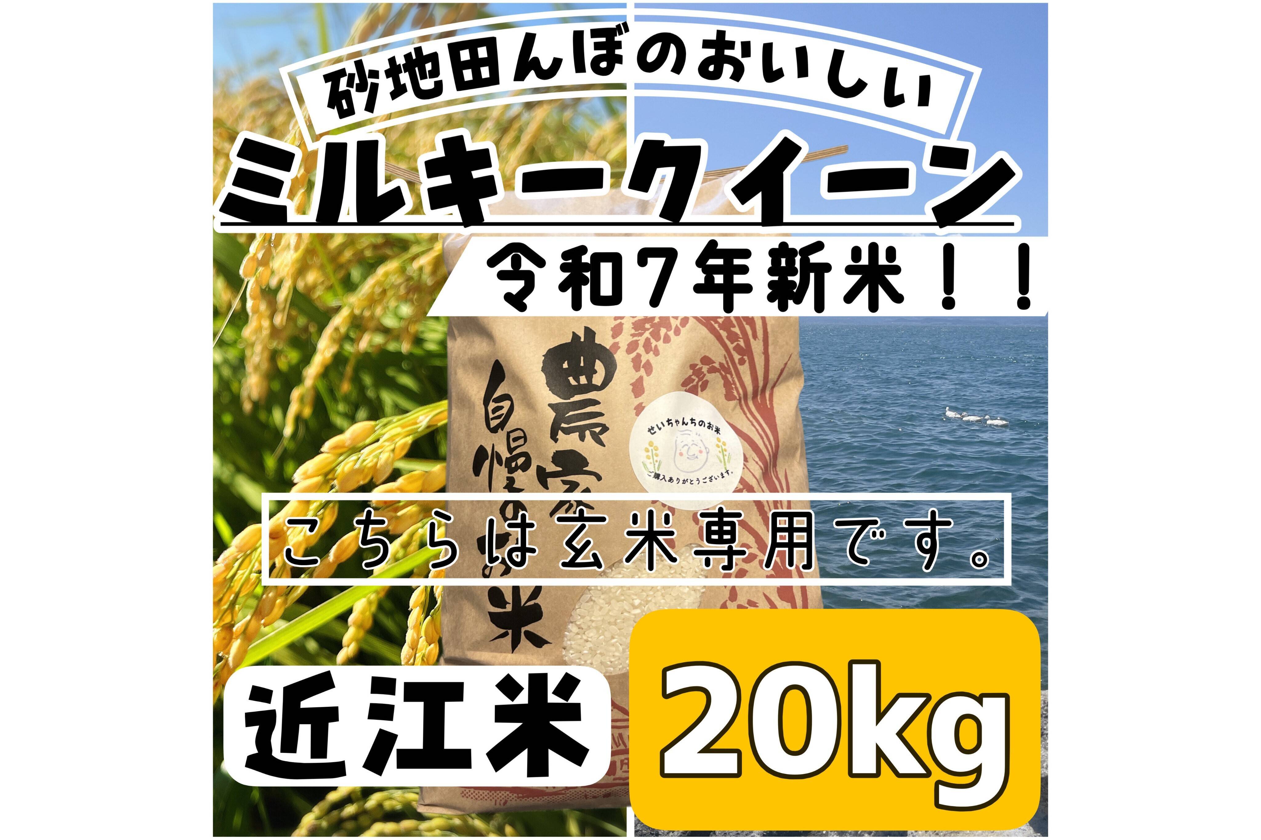 令和7年新米】【玄米】 『ミルキークイーン20kg』冷めてもおいしい
