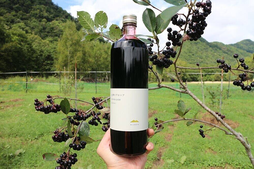 生搾りアロニア900ｍｌ　12本 生搾りアロニア 900ml - shop281