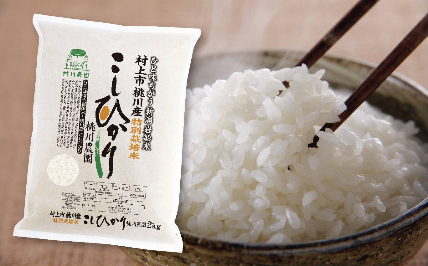 新米予約 令和8年産】コシヒカリ特別栽培米2kg（2kg×1）：新潟県産の