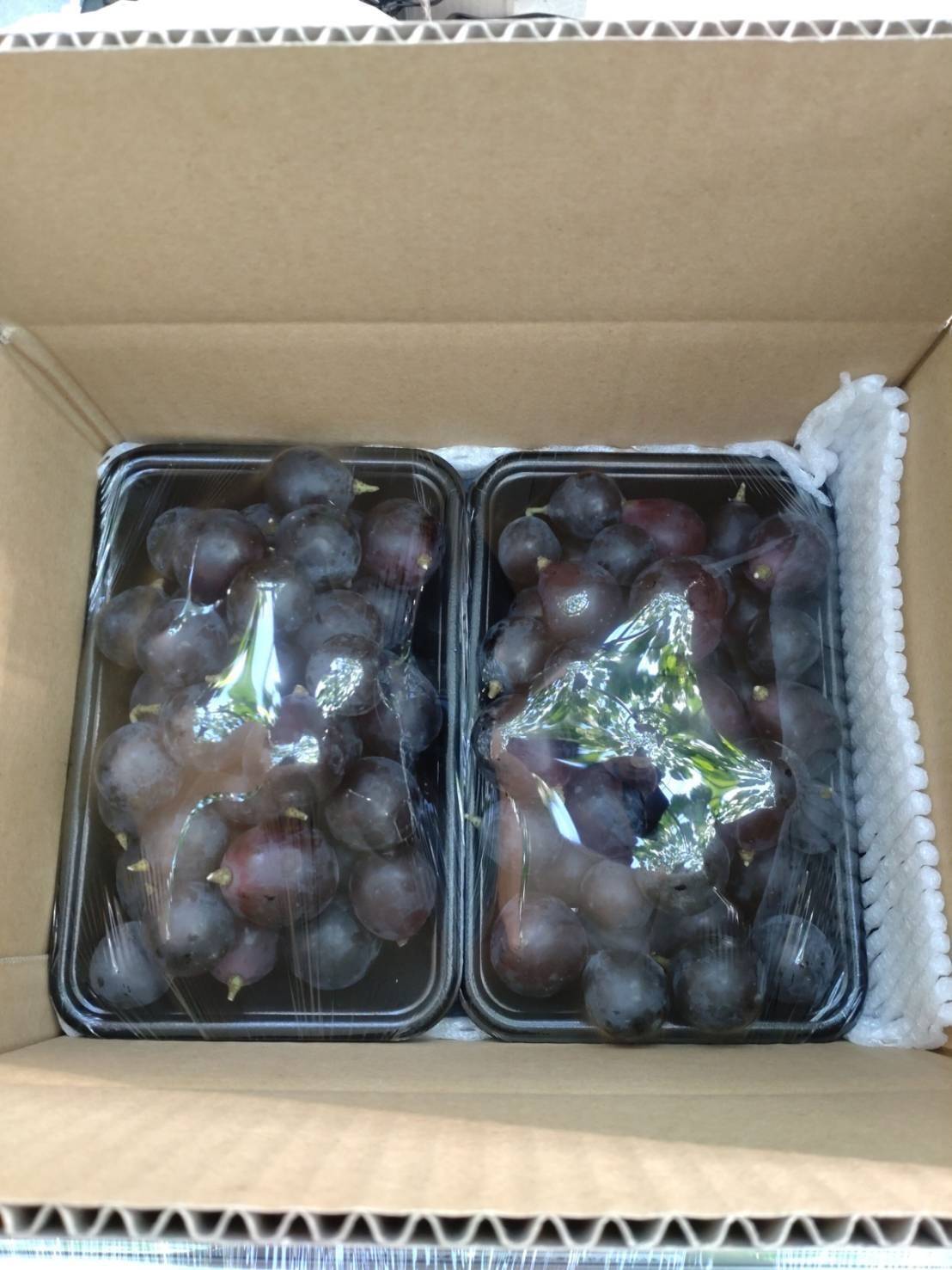 超超訳あり】ナガノパープル 1.8kg(900g×2パック)【バラ粒・加工