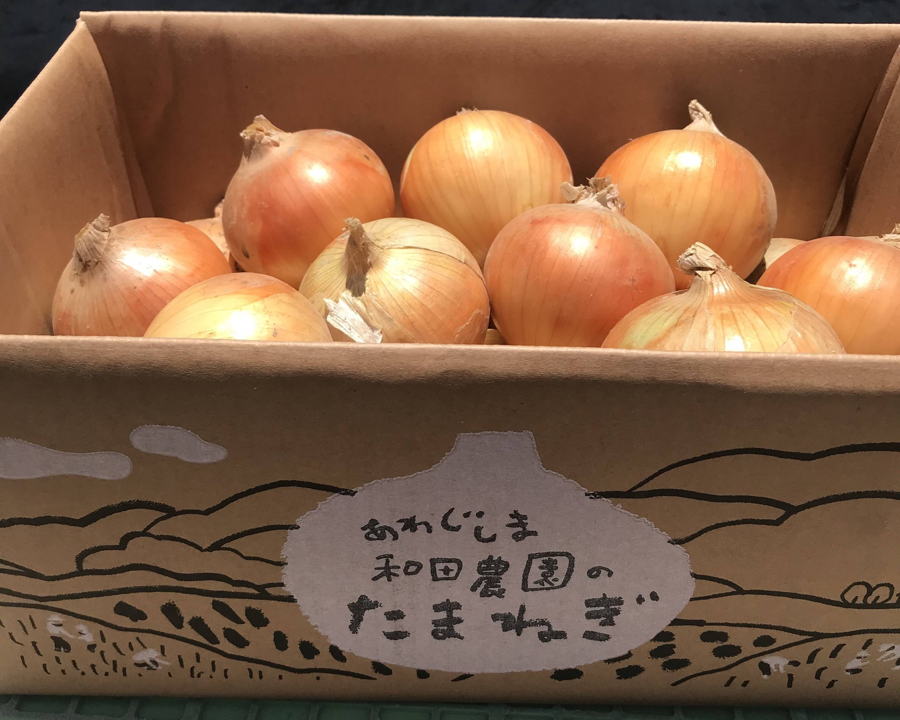 トロあまターザン淡路島産玉ねぎ5kgM〜LL日持ち品種：兵庫県産の