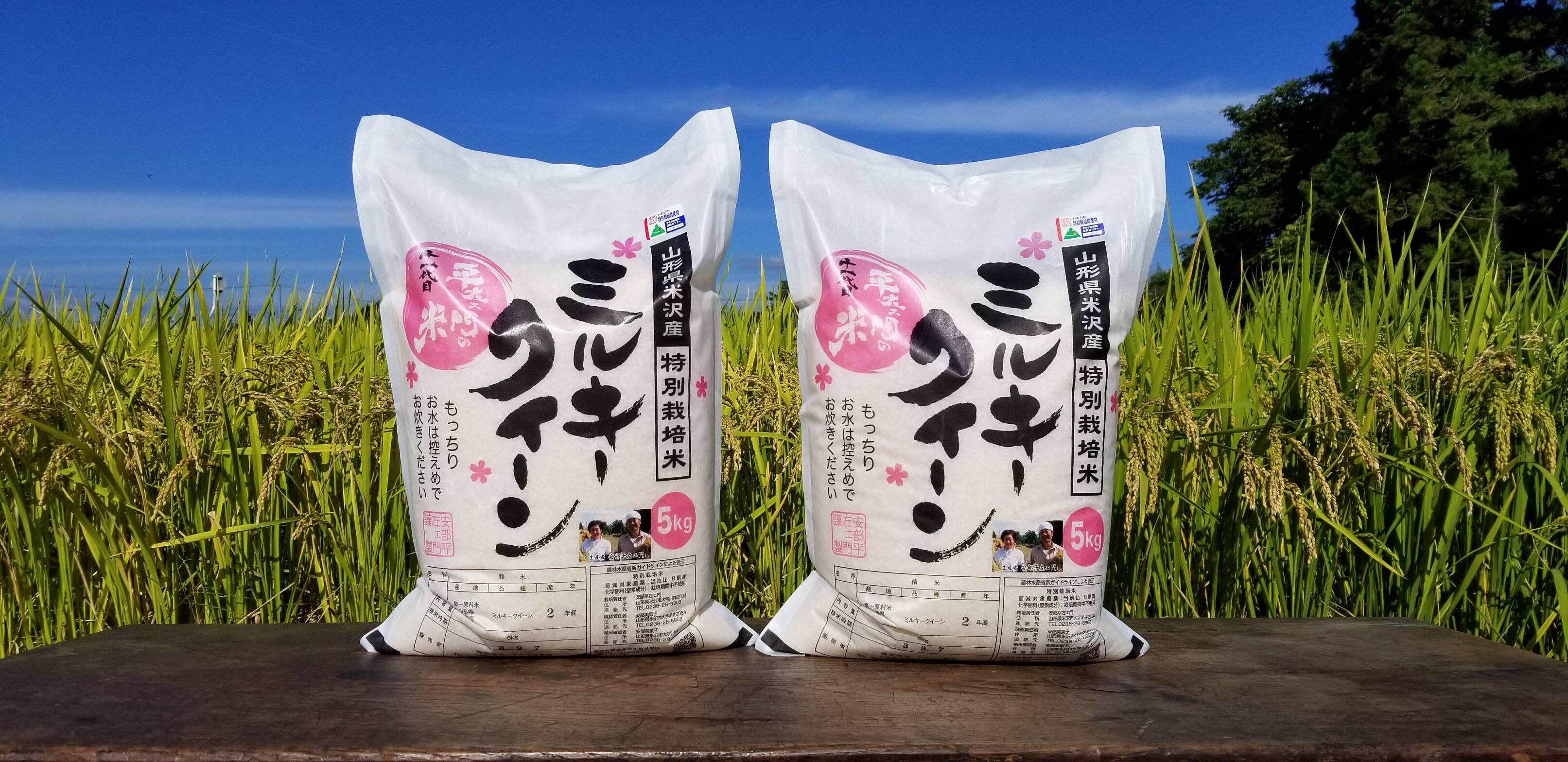 お見舞い 玄米 特別栽培米ミルキークイーン２ｋｇ有機肥料減農薬栽培