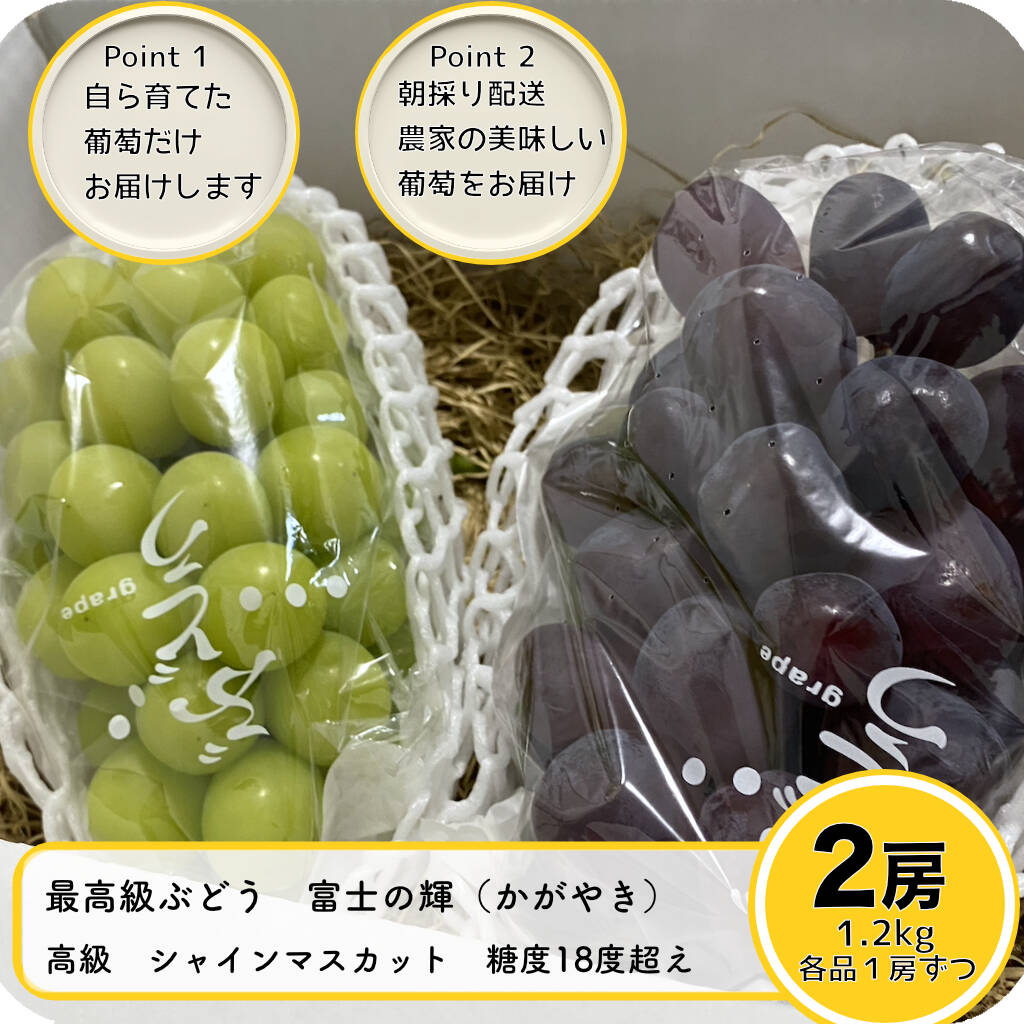 シャインマスカット600g✖️『（訳あり）富士の輝300g以上』：山梨県産のシャインマスカット｜食べチョク｜産地直送(産直)お取り寄せ通販 -  農家・漁師から旬の食材を直送