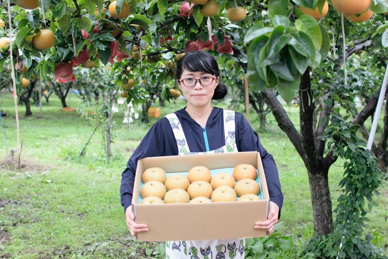 長野県産】生産者一押し！とにかく甘い！和梨の南水3㎏：長野県産の果物｜食べチョク｜産地直送(産直)お取り寄せ通販 - 農家・漁師から旬の食材を直送