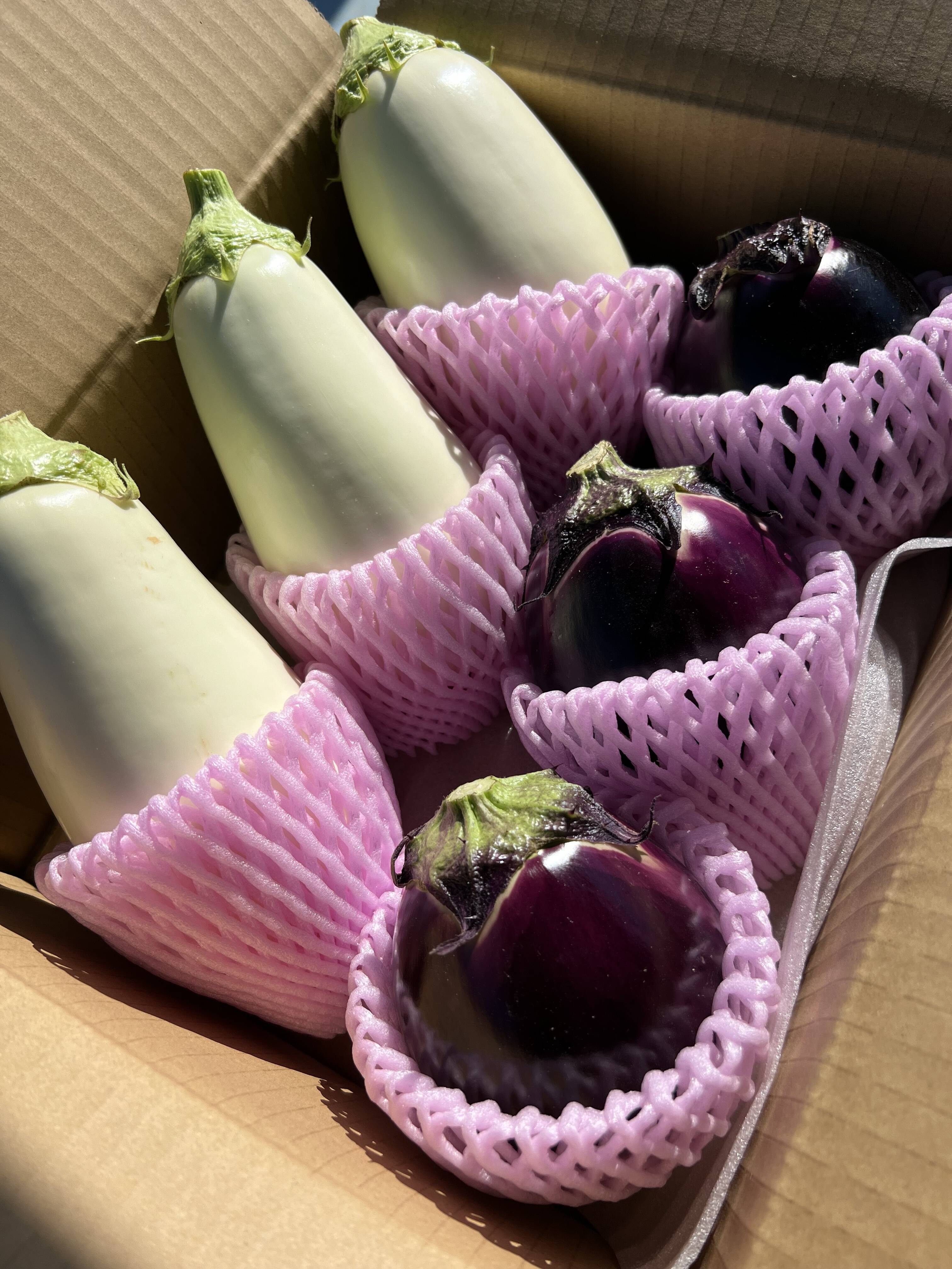 りんごあめなす】テレビセット（食彩の王国）：新潟県産の野菜セット