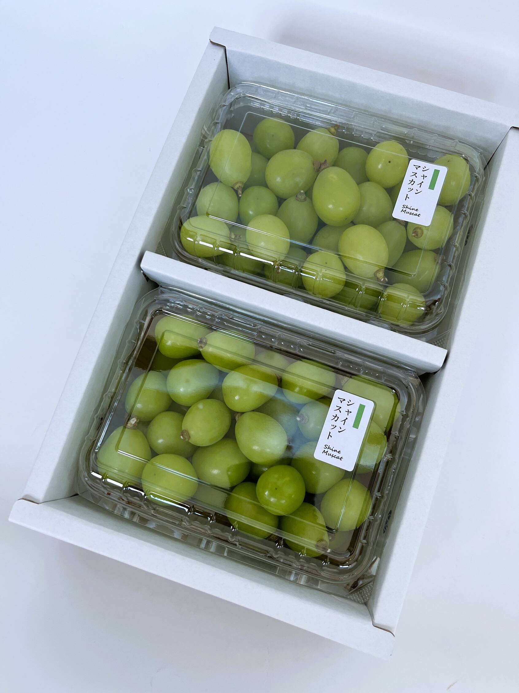 はねだし　シャインマスカット　1000g(500g×2パック）粒々　当日常温発送 はねだし シャインマスカット 1000g(500g×2パック）粒々 当日