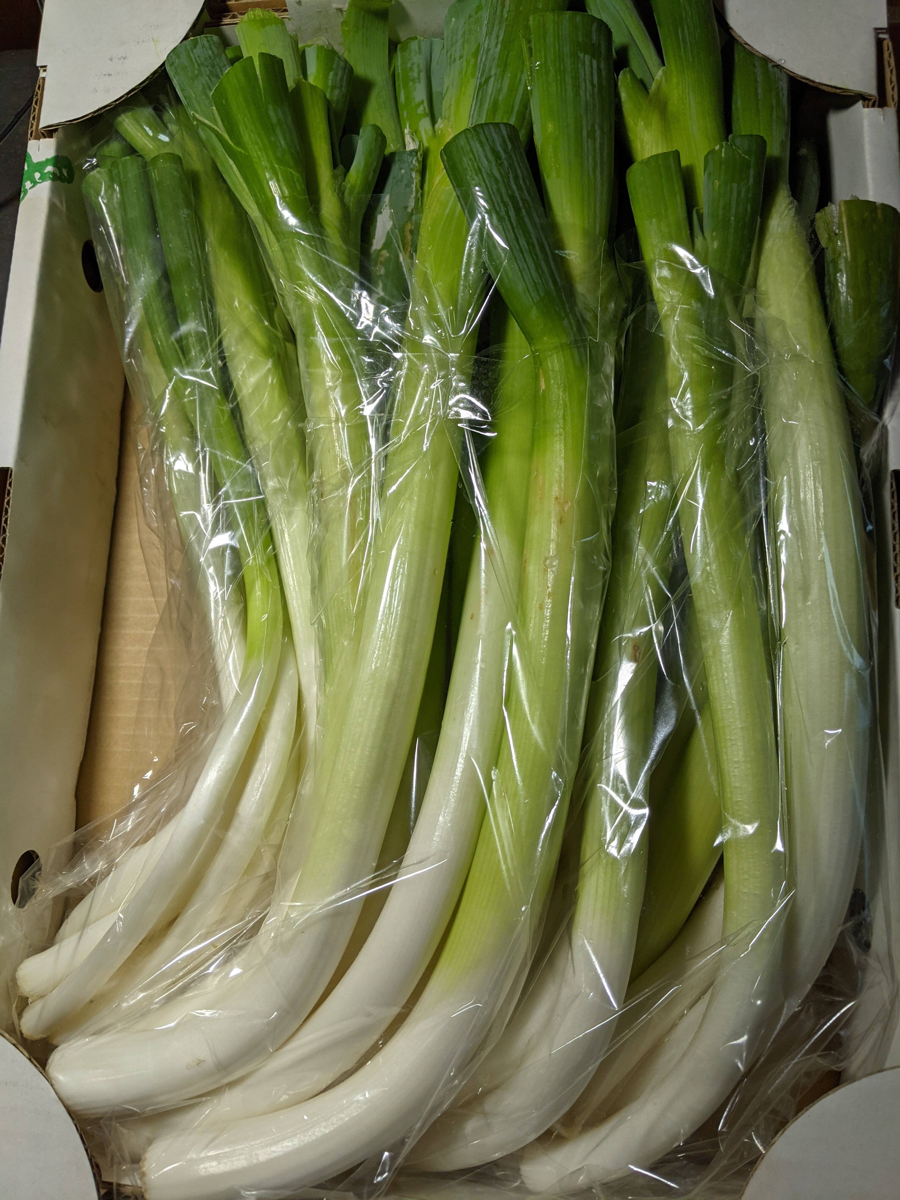 ねぎ1.6kg：山形県産の野菜｜食べチョク｜産地直送(産直)お