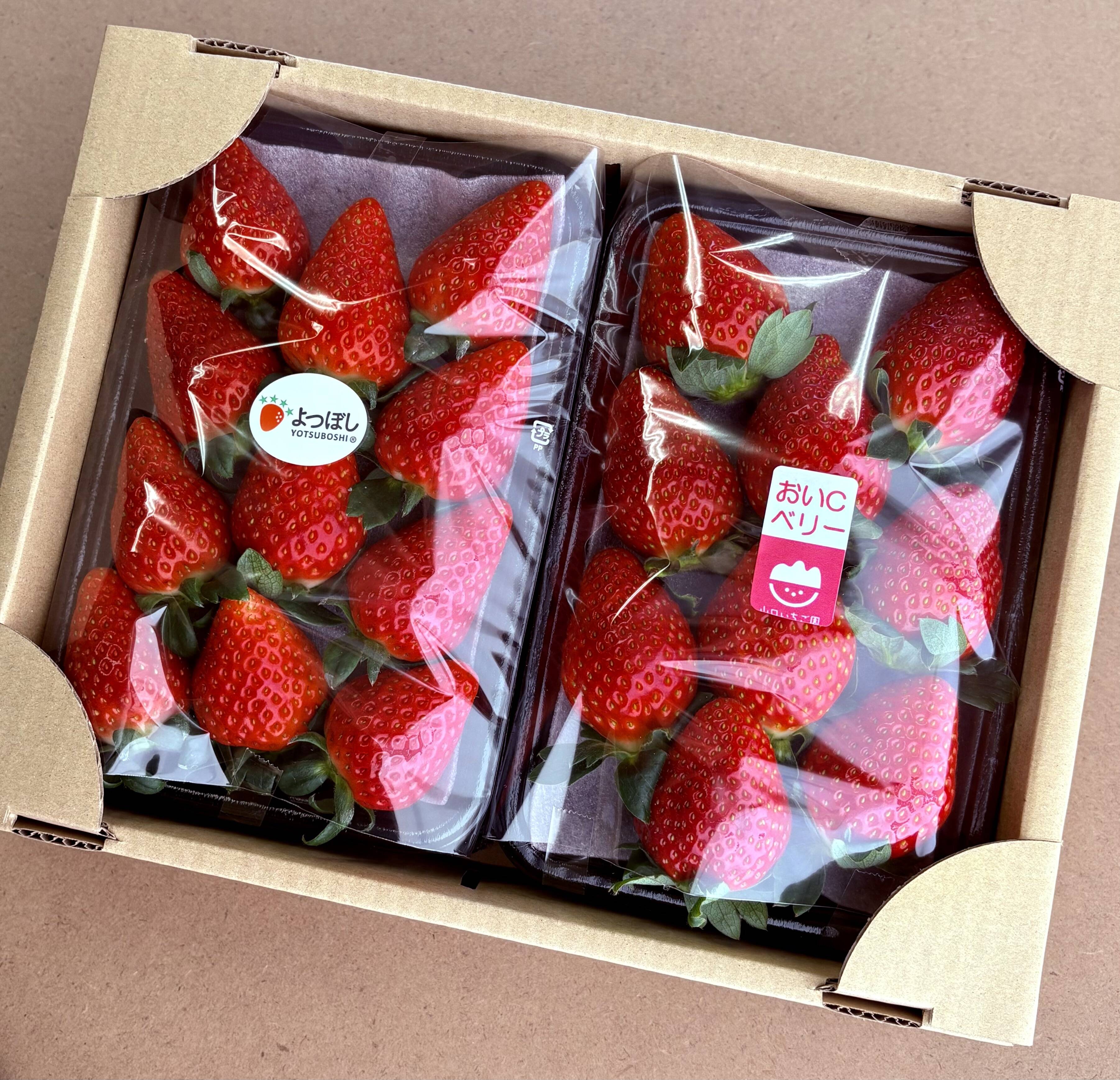 おまかせ食べ比べ】平詰めDX1箱2パックやよいひめ•よつぼし•おいC