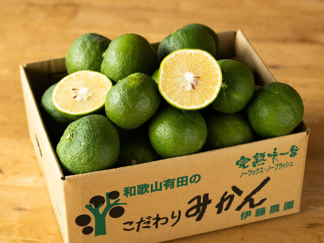 家庭用（訳あり品）ジャバラ2.5kg 和歌山 355-3h：和歌山県産のみかん