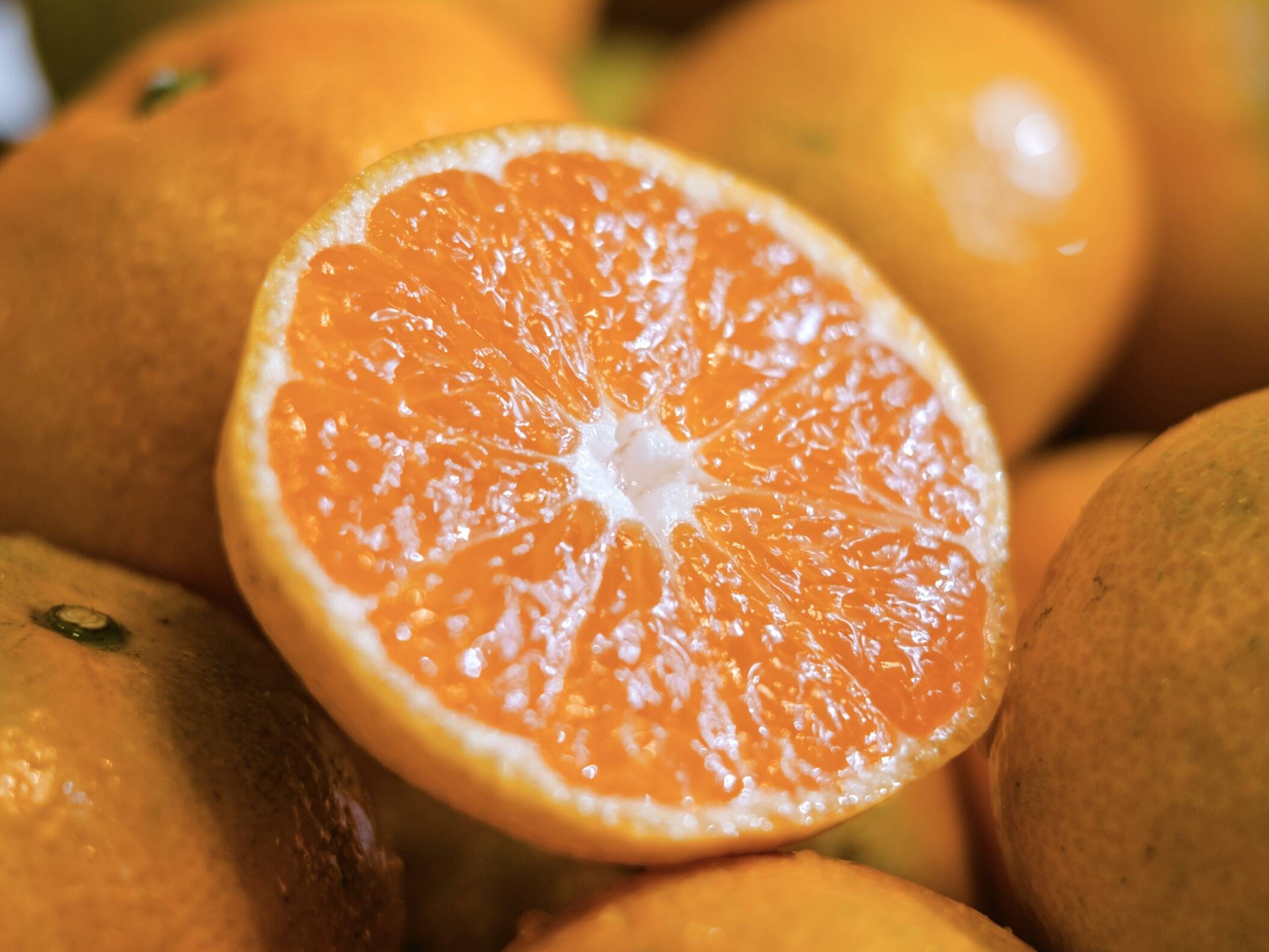 老舗農家が見極めたプレミアム【愛媛みかん10kg】【天皇杯受賞産地